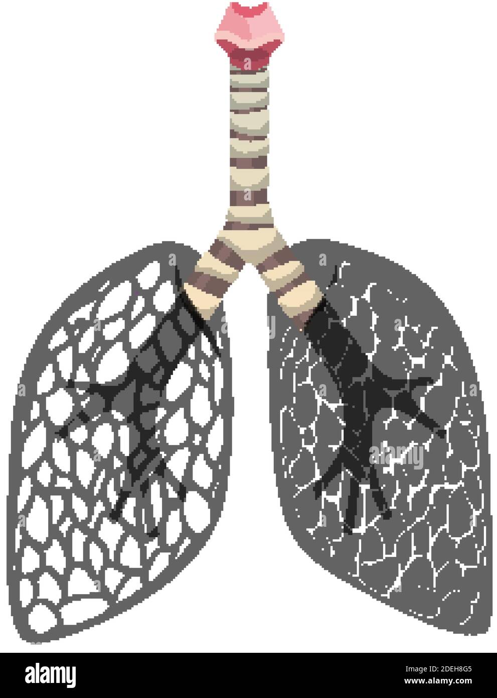 Icona del cancro ai polmoni isolata su sfondo bianco Illustrazione Vettoriale