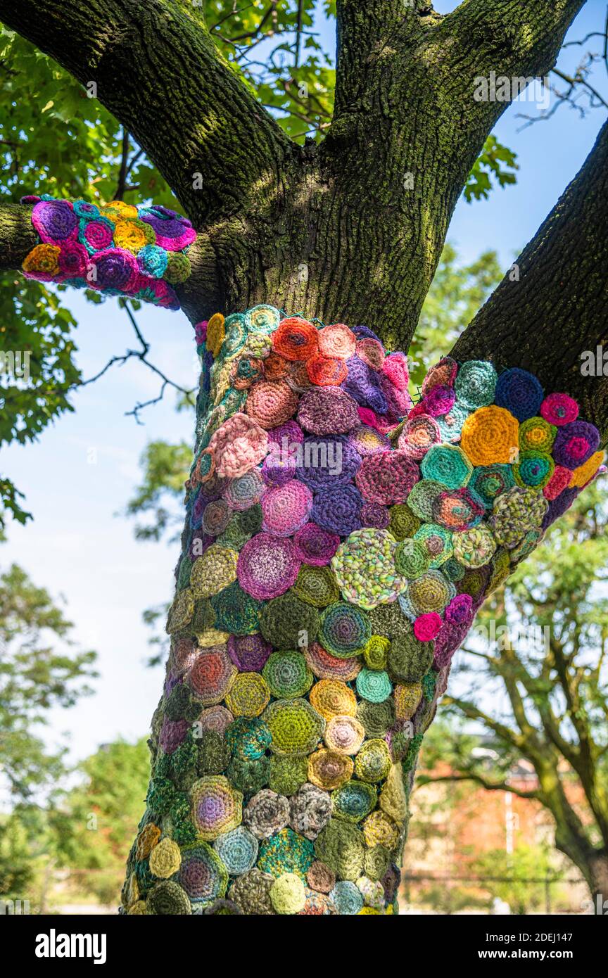 cerchi colorati di uncinetto su un albero per fare arte di strada Foto Stock