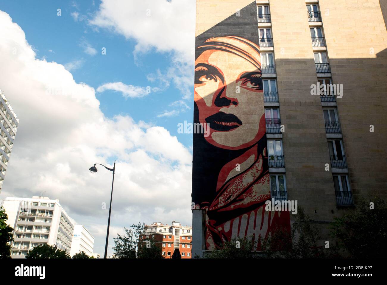 Il murale intitolato 'Rise Above Rebel' dall'artista di strada Shepard Fairey aka Obey, come parte della mostra all'aperto di Street art 'Boulevard Paris 13' a Parigi, Francia, il 13 giugno 2019. Foto di Denis Prezat/Avenir Pictures/ABACAPRESS.COM Foto Stock