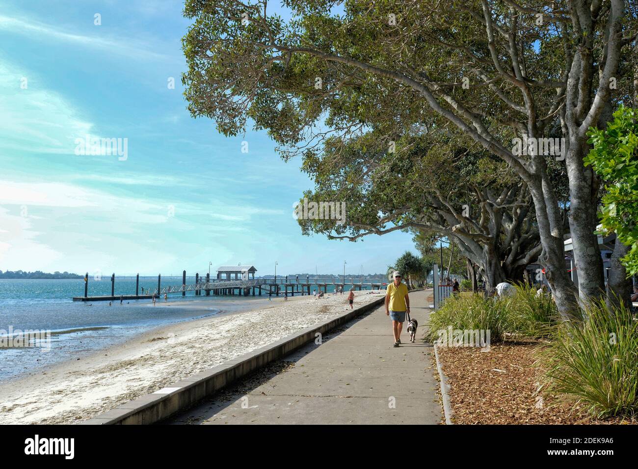Uomo anziano che cammina il suo cane sul lungomare alla popolare Bongaree Beach, Isola di Bribie, Sunshine Coast, Queensland, QLD, Australia Foto Stock
