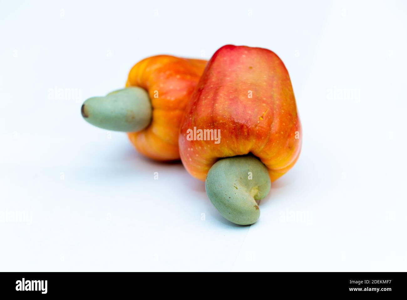 La frutta cashew da vicino guarda in bianco sfondo Foto Stock