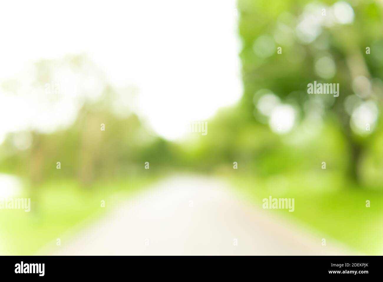 Immagine sfocata di alberi verdi naturali e passerella nel parco con bokeh bianco - sfondo astratto Foto Stock