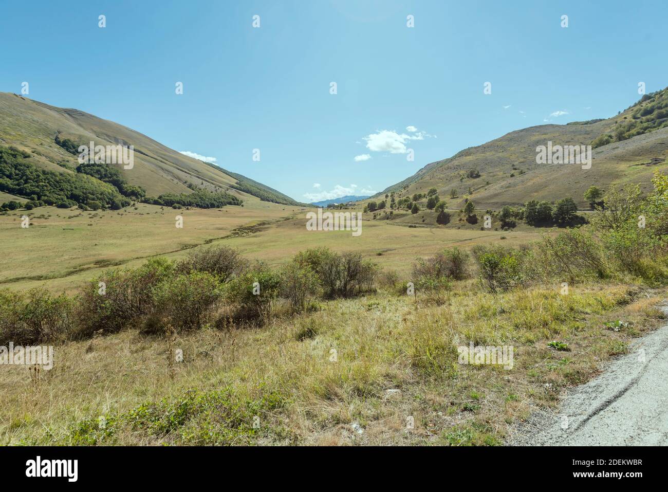 Paesaggio con prati e lievi pendii boscosi al gap appenninico, girato in luce intensa al passo di Godi, l'Aquila, Abruzzo, Italia Foto Stock