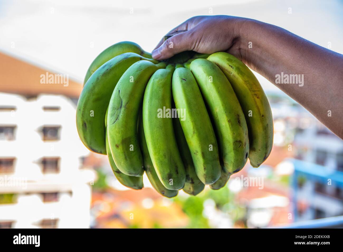 Banane della Thailandia Sud-est asiatico, la terra del sorriso Foto Stock