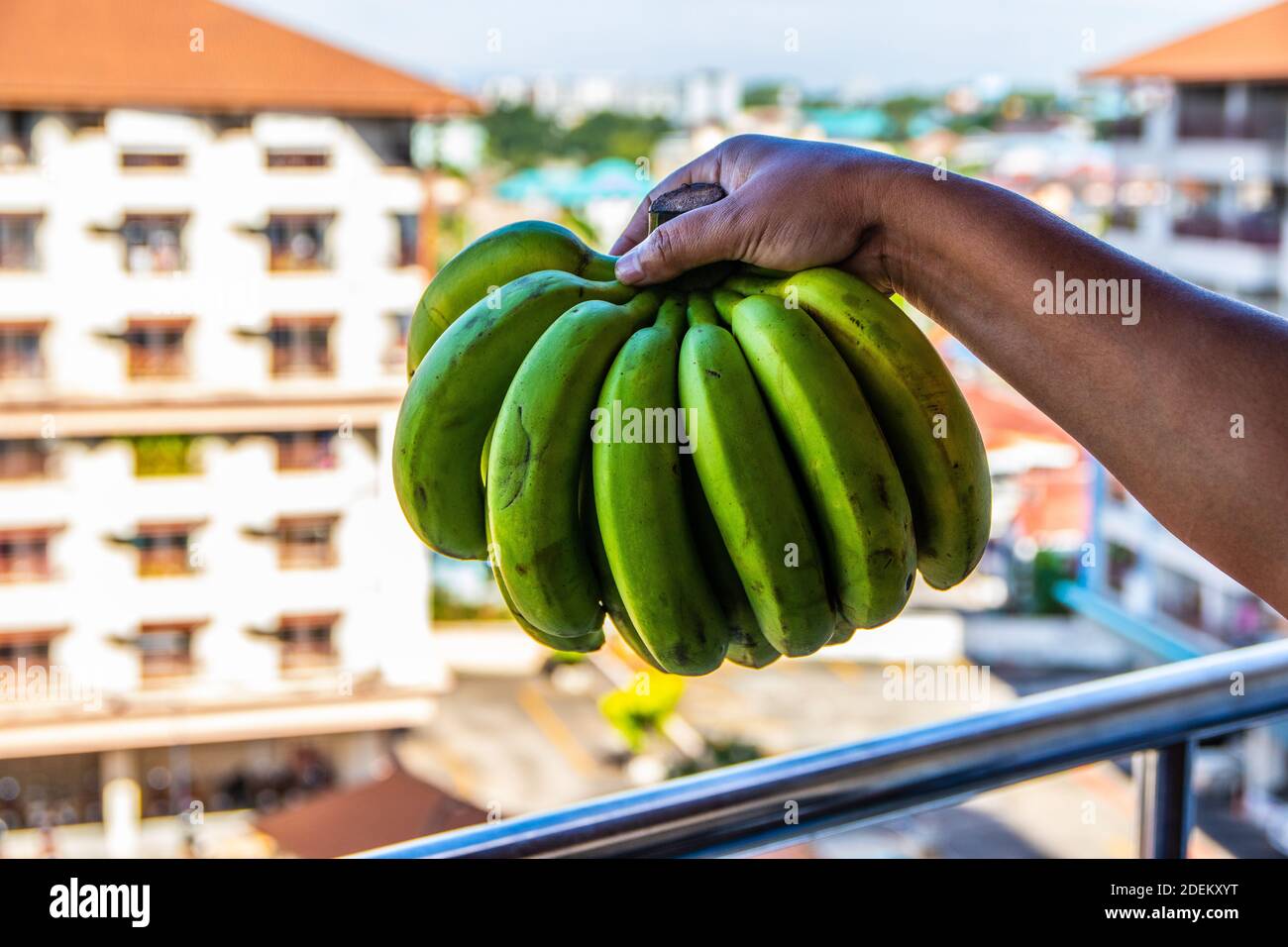 Banane della Thailandia Sud-est asiatico, la terra del sorriso Foto Stock