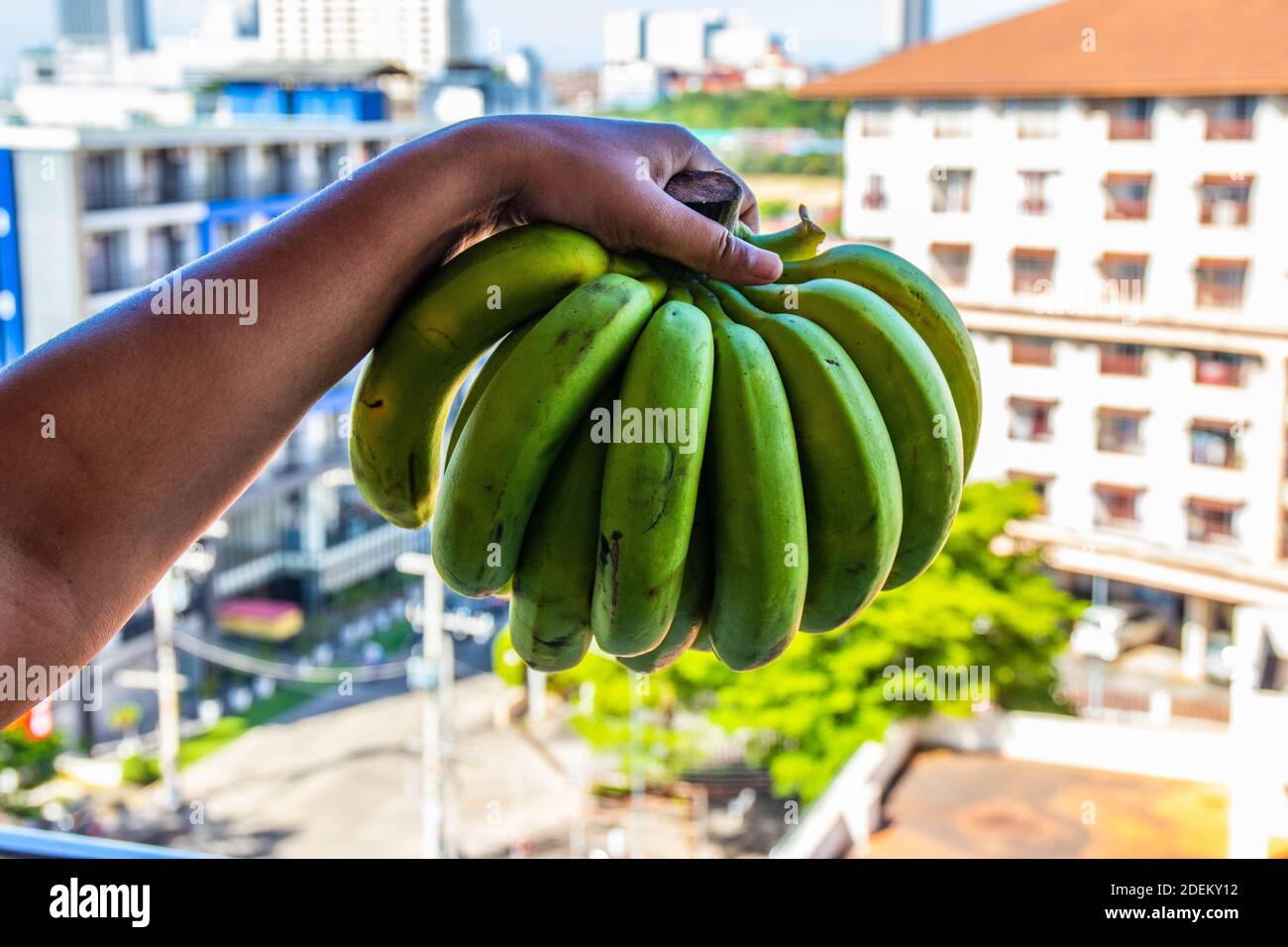 Banane della Thailandia Sud-est asiatico, la terra del sorriso Foto Stock