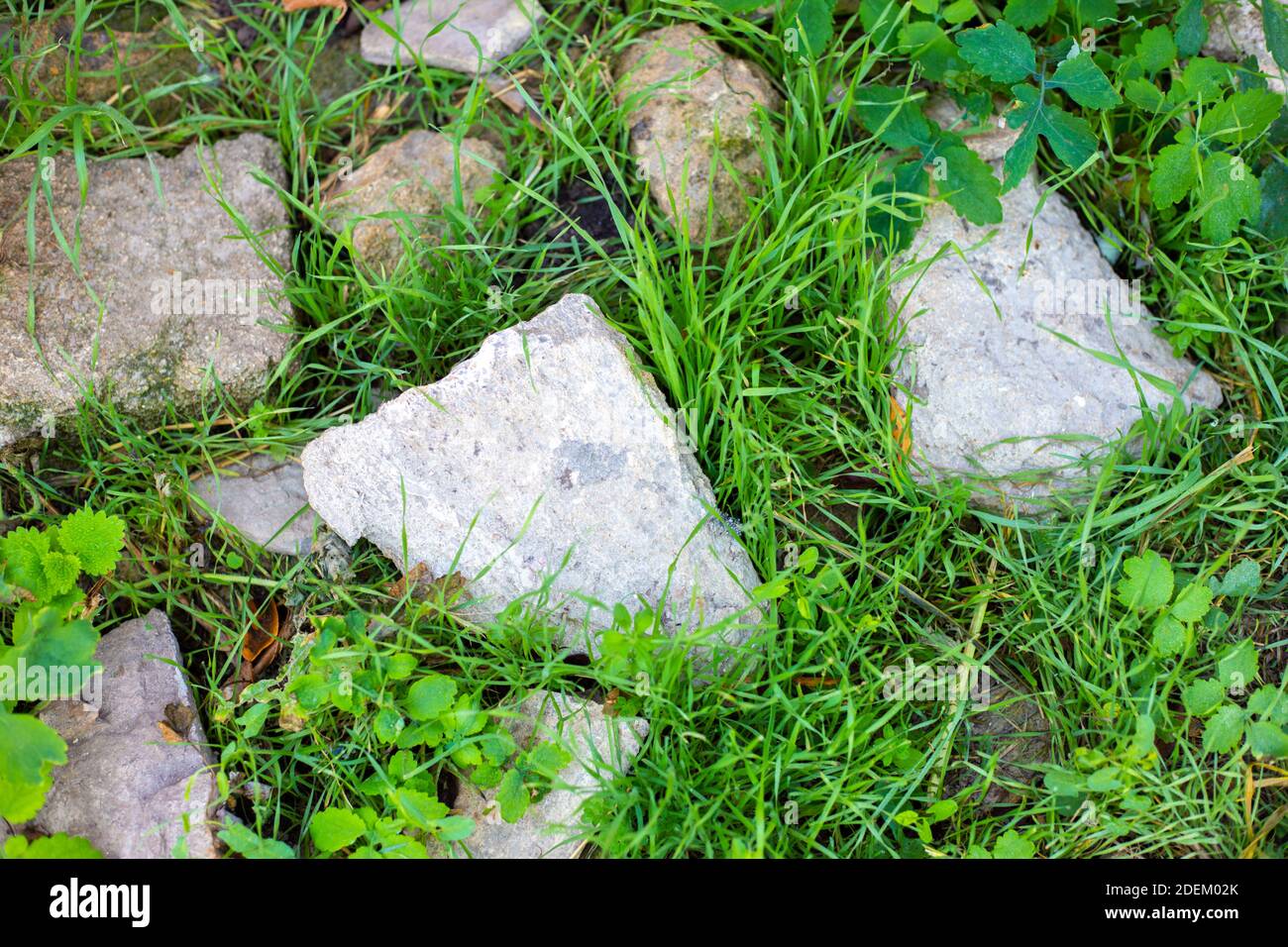 pietre grigie di montagna in erba verde. Decorazioni in giardino e orto. Foto Stock
