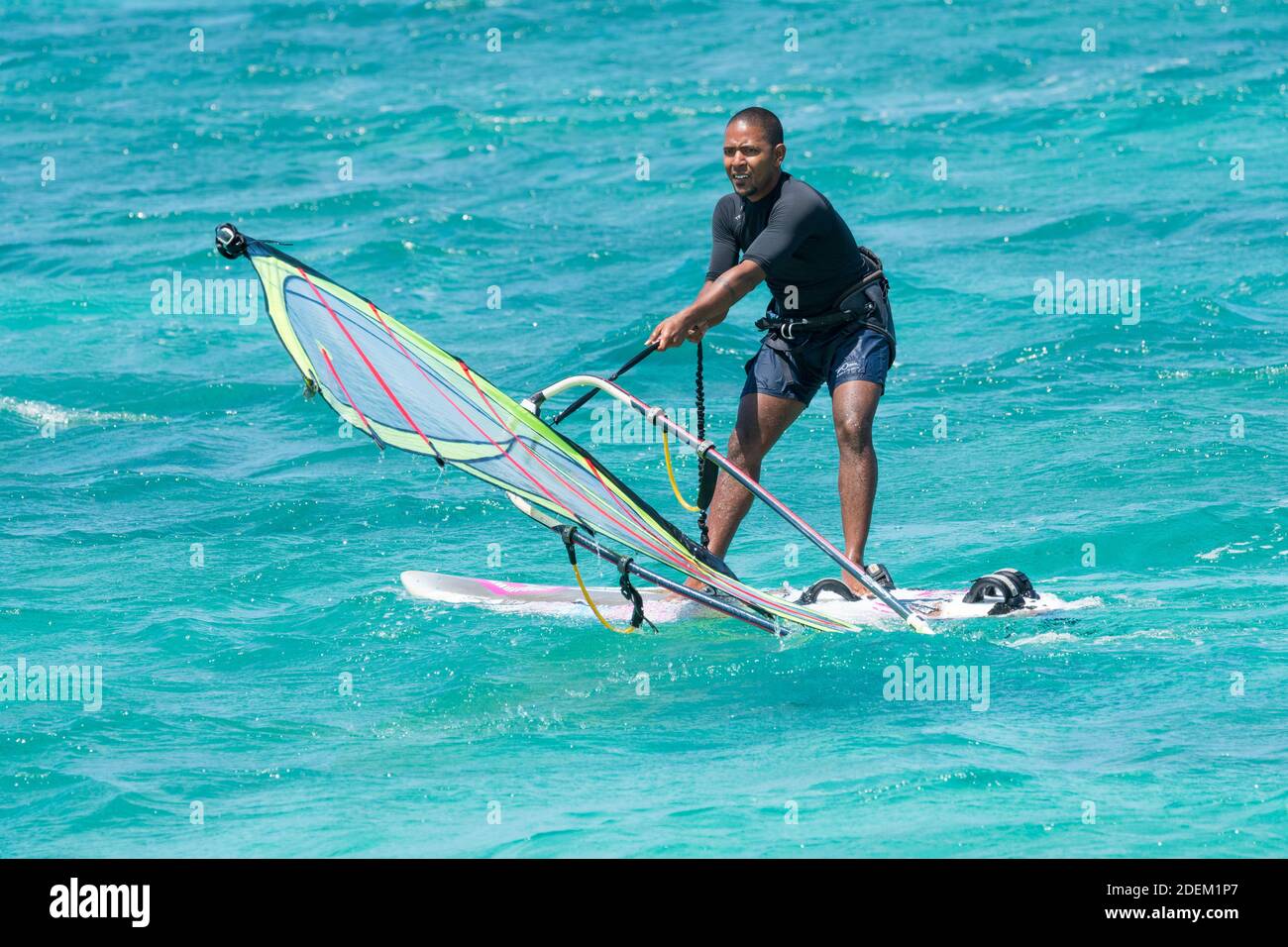 Windsurf in una muta che tira su una vela dalle acque turchesi blu del mare sull'isola tropicale di Mauritius concetto di stile di vita sport, ricreazione Foto Stock