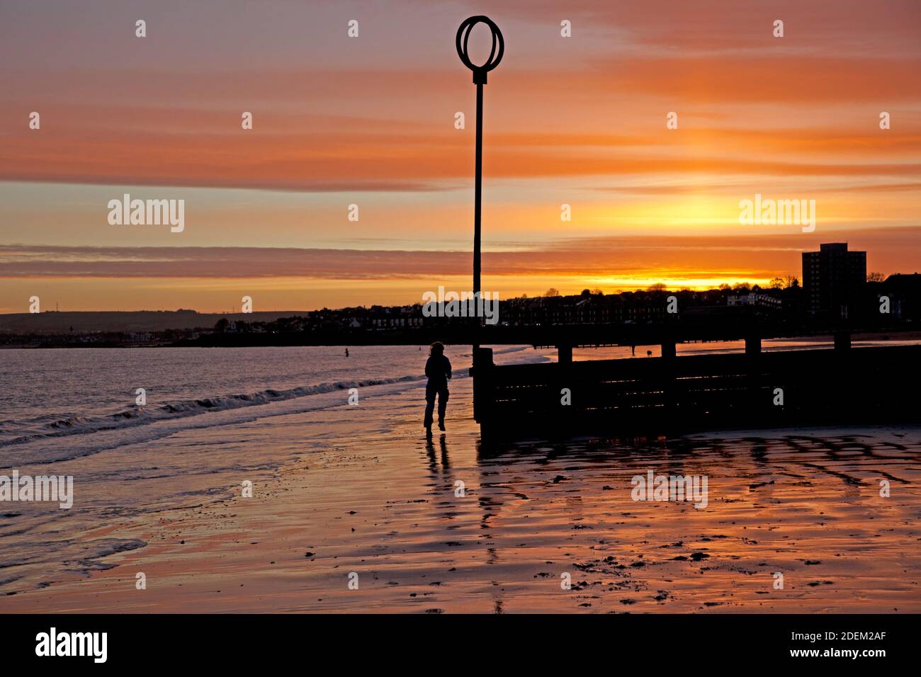 Portobello, Edimburgo, Scozia, Regno Unito, 1 dicembre 2020. Lo scorso mese dell'anno è stato accolto con una splendida alba sul mare. Temperatura 4 gradi, nella foto: Un pareggiatore fa la sua strada intorno alle gringe spiaggia. Arch White/Alamy Live News. Foto Stock