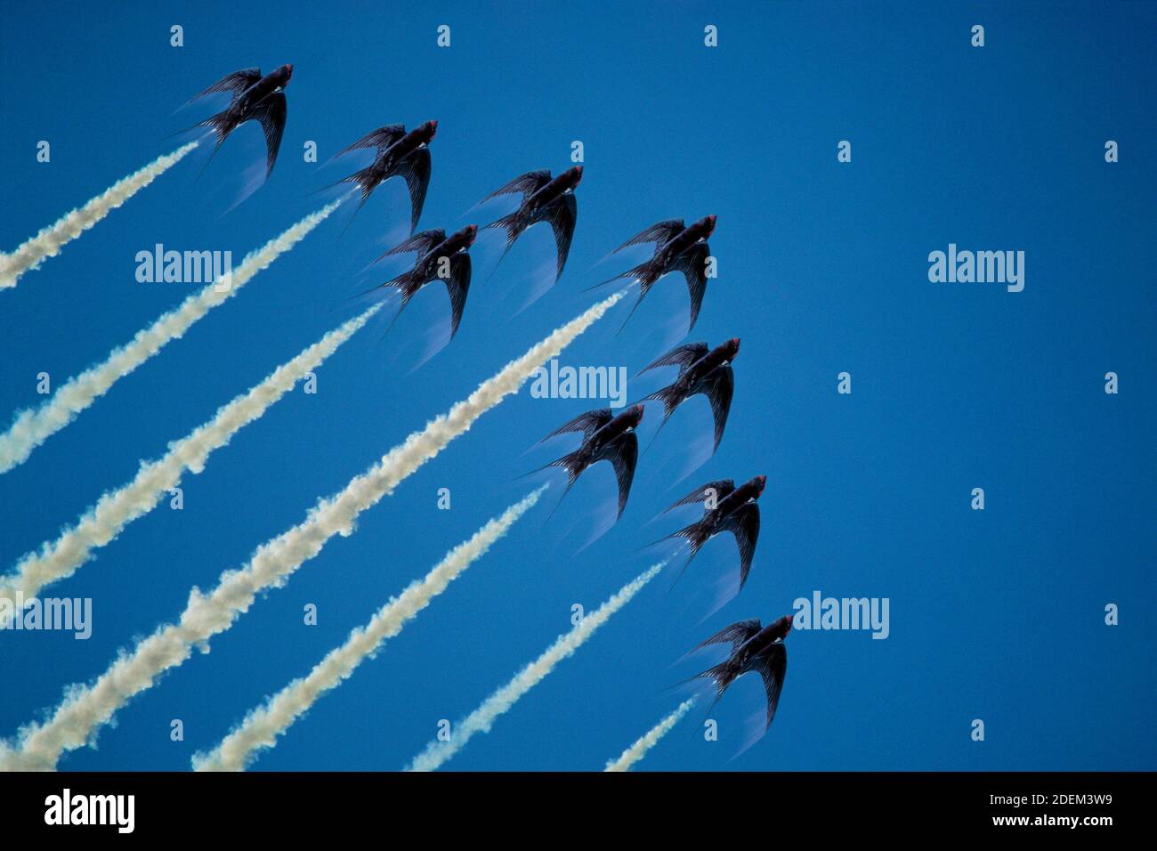 Rappresentazione umoristica di rondini in formazione con sentieri di fumo bianco concetto Foto Stock