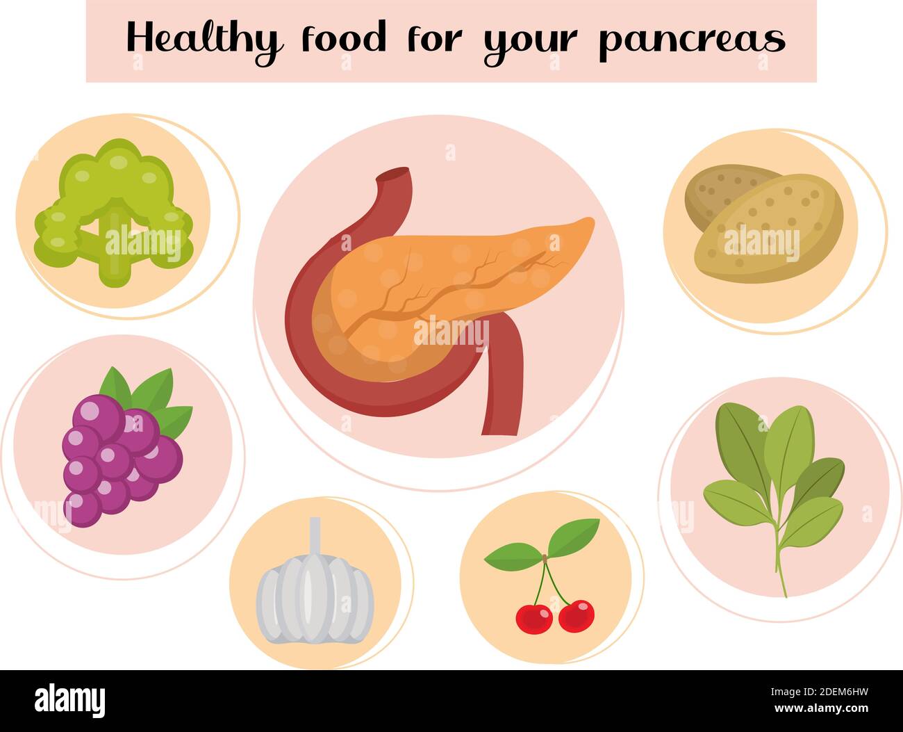 Cibo sano per il pancreas. Concetto di cibo e vitamine, medicina, prevenzione delle malattie pancreatiche. Illustrazione vettoriale Illustrazione Vettoriale