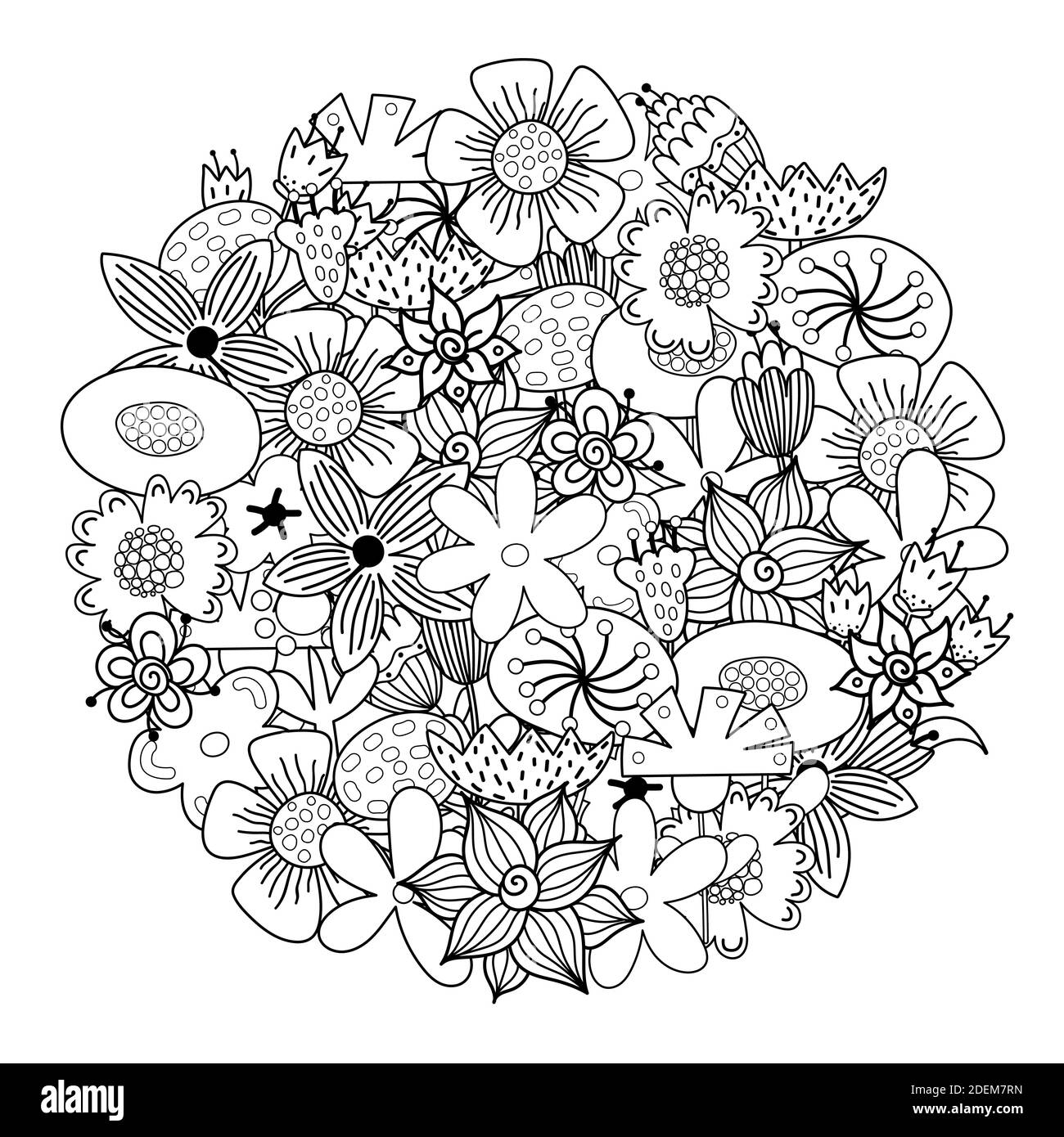 Pagina da colorare a forma di cerchio con fiori di doodle. Mandala floreale  per libro da colorare Immagine e Vettoriale - Alamy