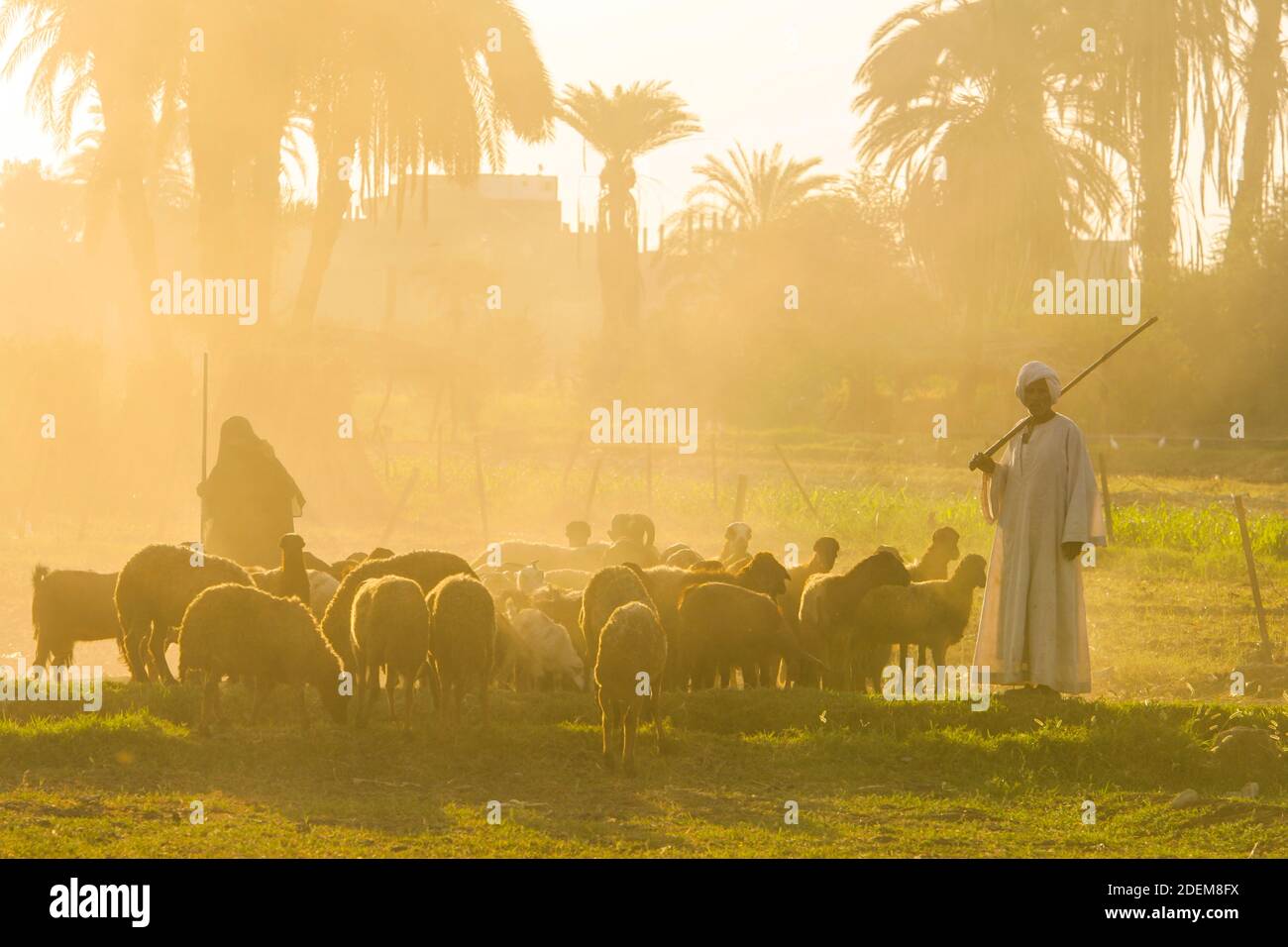 EGIZIANI IN EGITTO Foto Stock