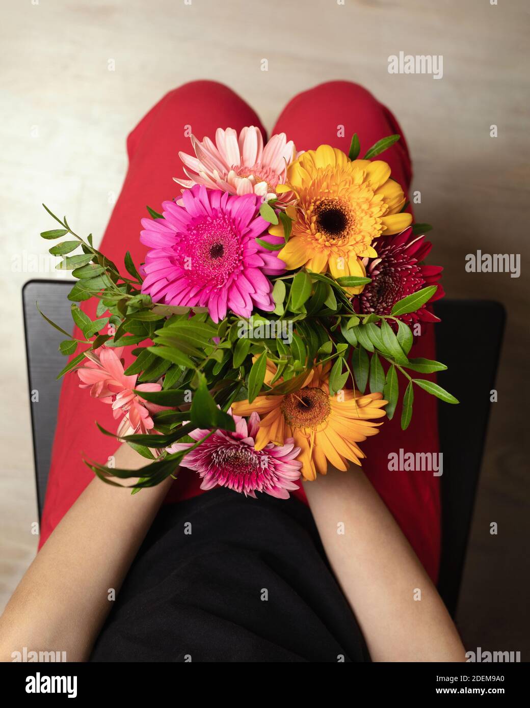 Le mani della ragazza tengono il bel bouquet di fiori multicolore di gerbere, vista dall'alto. Composizione floreale. Foto Stock