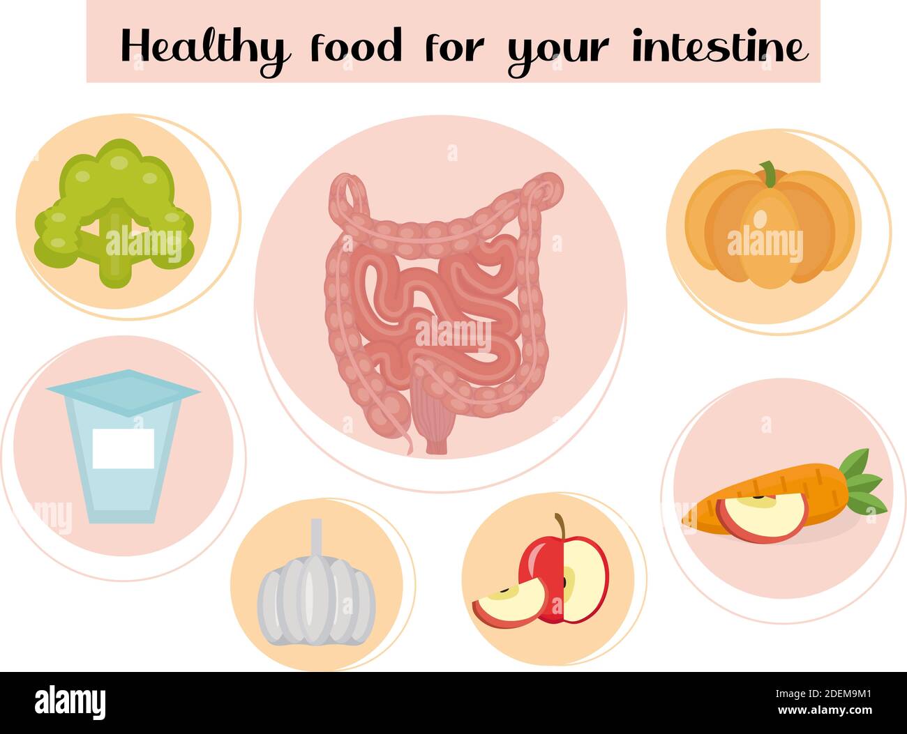 Cibo sano per i vostri intestini. Concetto di cibo e vitamine, medicina, prevenzione delle malattie del sistema digestivo. Illustrazione vettoriale Illustrazione Vettoriale