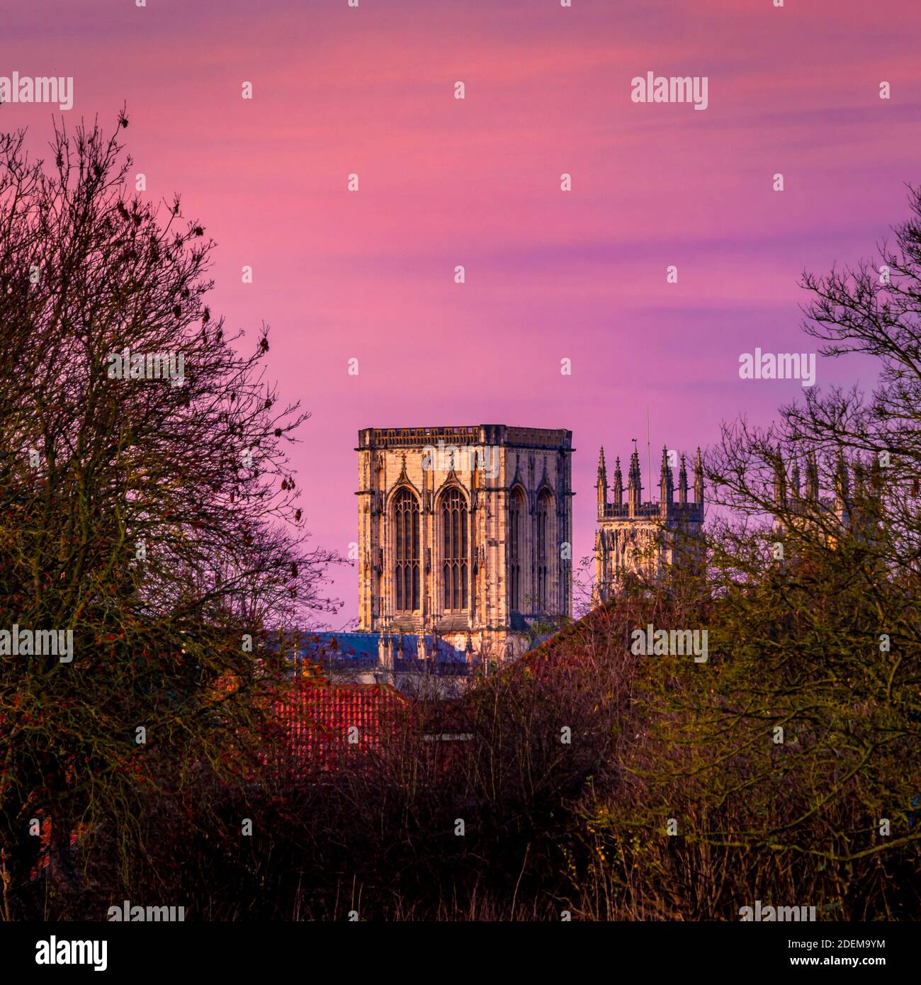 Central e North West Towers of York Minster visto da Monks Stray, in inverno all'alba. York. Foto Stock