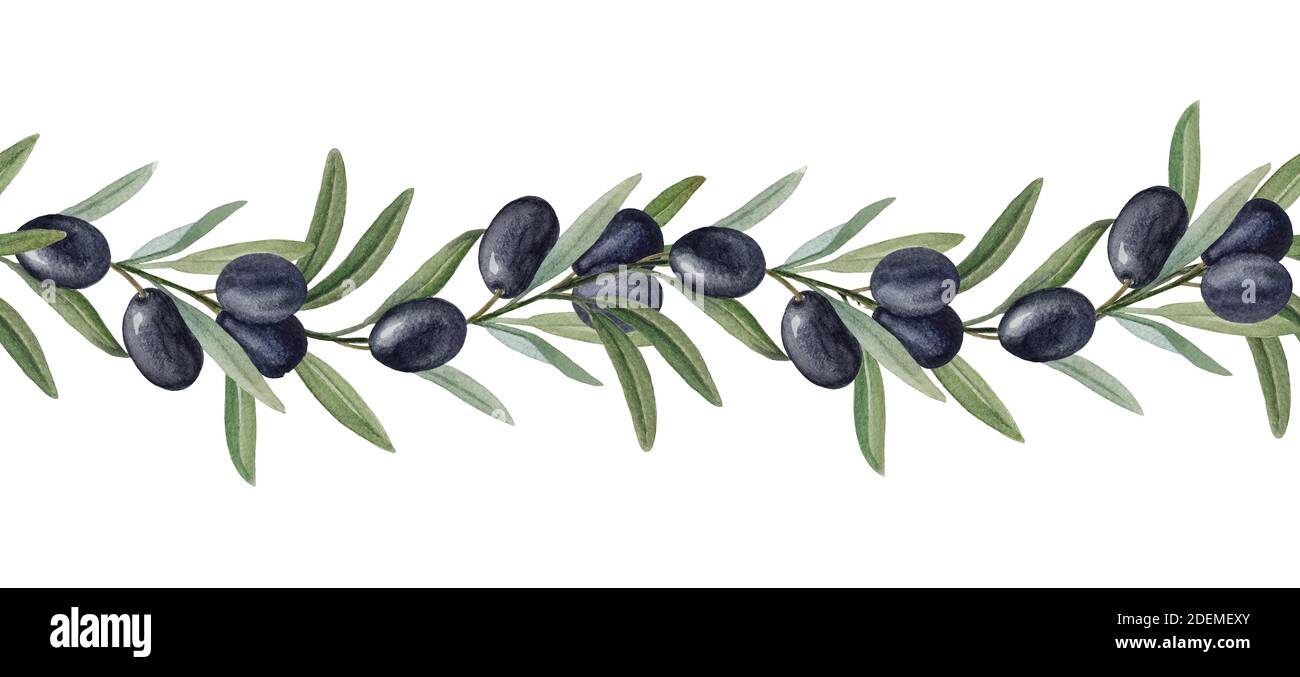 Olive nere acquerello ornamento senza cuciture Foto Stock