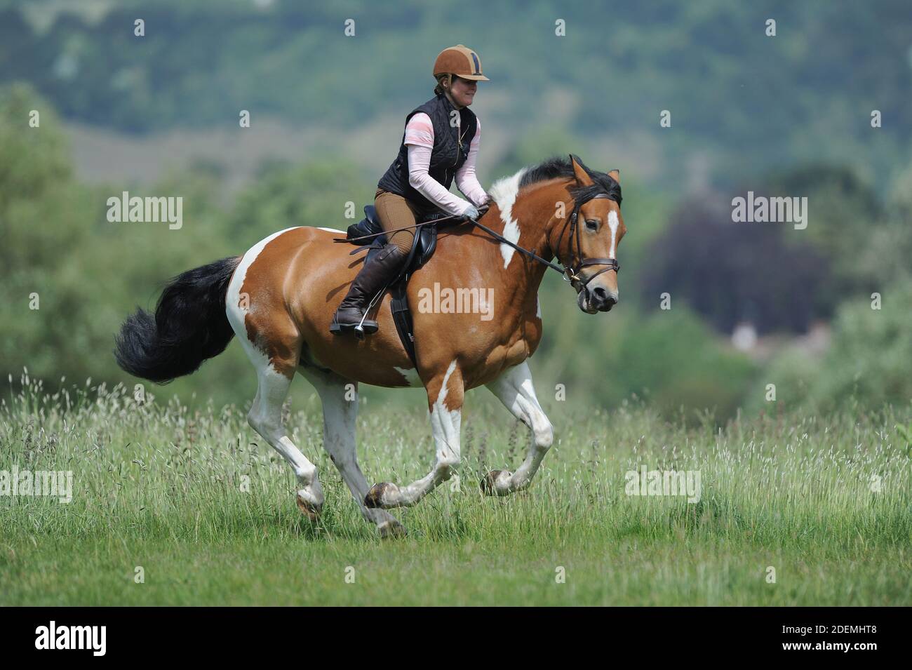 Una donna che cavalcano un cavallo in campagna Foto Stock