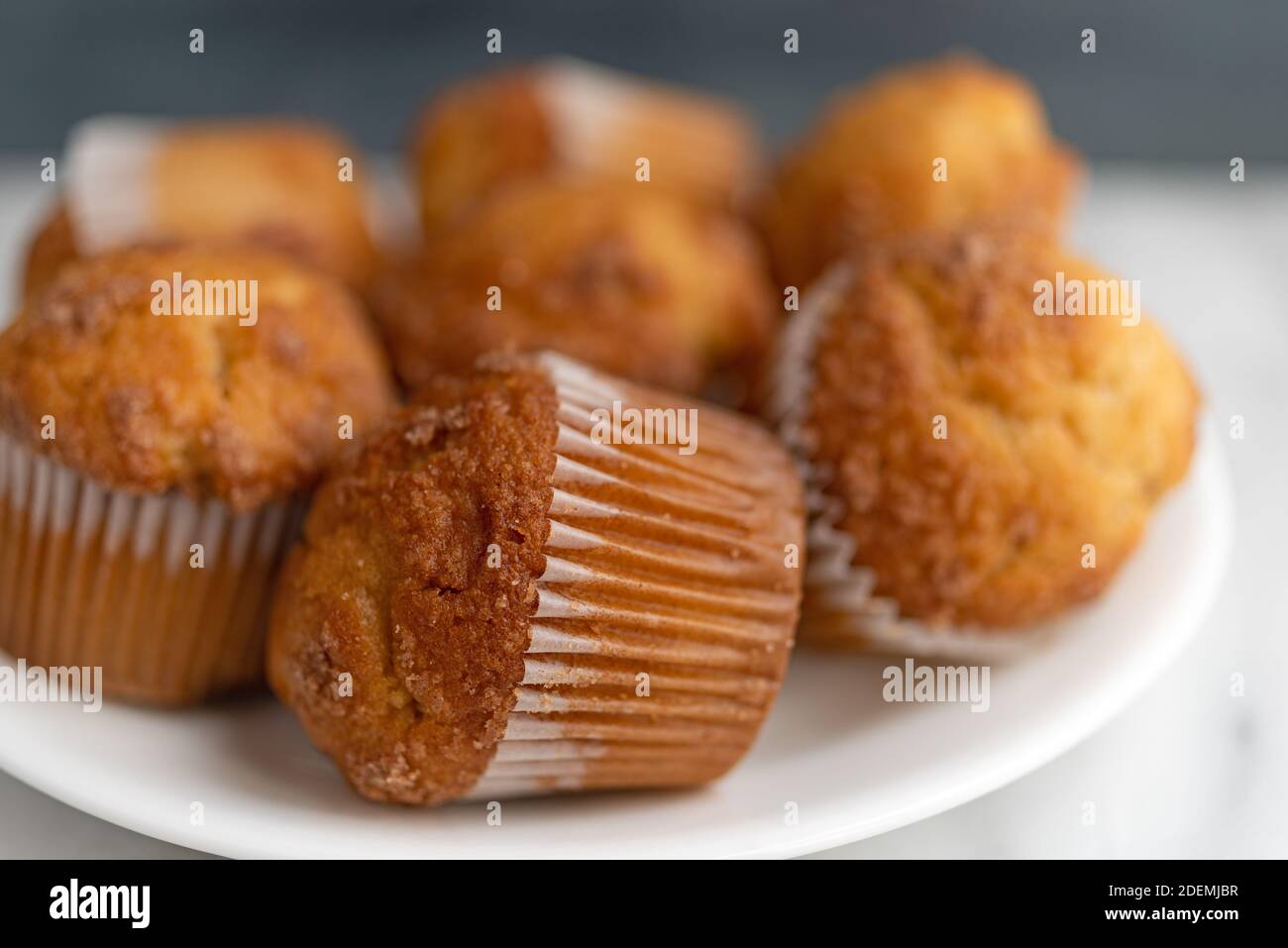 Vista molto ravvicinata di diversi muffin Strausel alla banana su una piastra bianca sopra un piano in marmo con una parete grigia sfocata sullo sfondo. Foto Stock