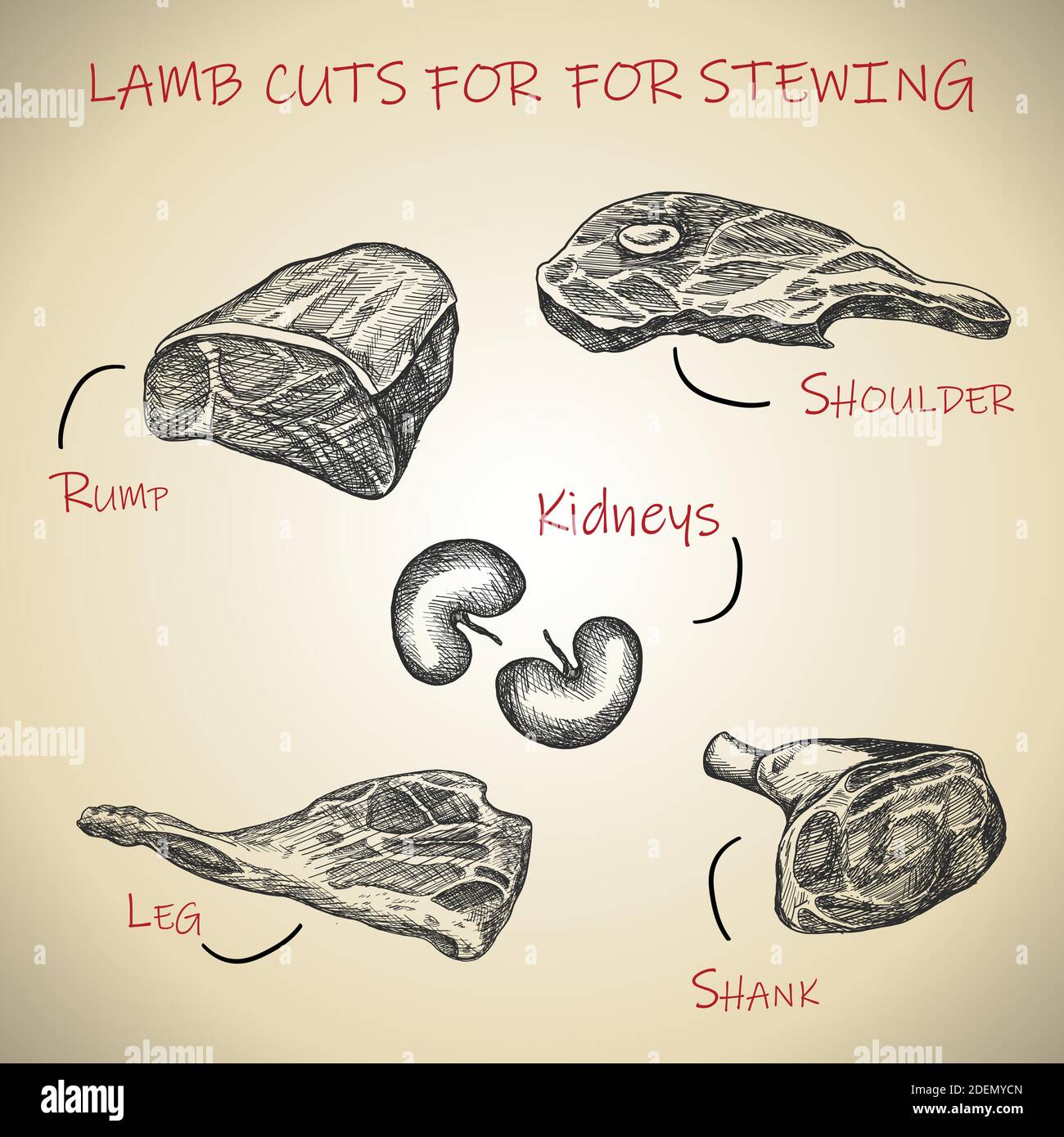 Set di carni Vector disegnate a mano per tagli di agnello da stegare. Illustrazione Vettoriale