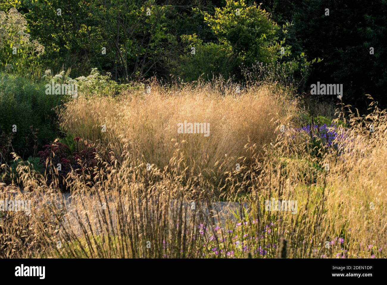 Garden design nei Paesi Bassi Foto Stock