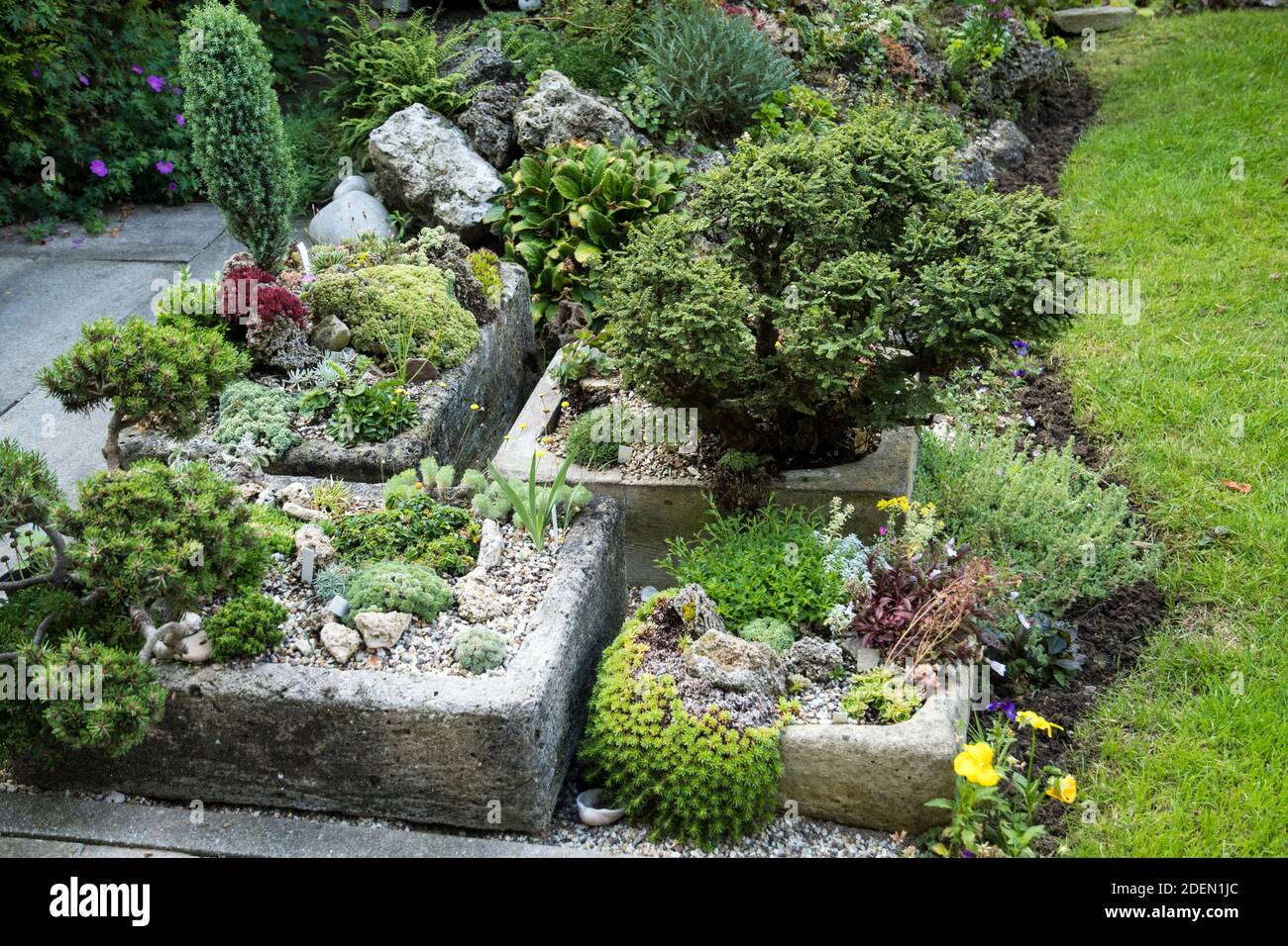 Attraverso in un giardino di roccia Foto Stock