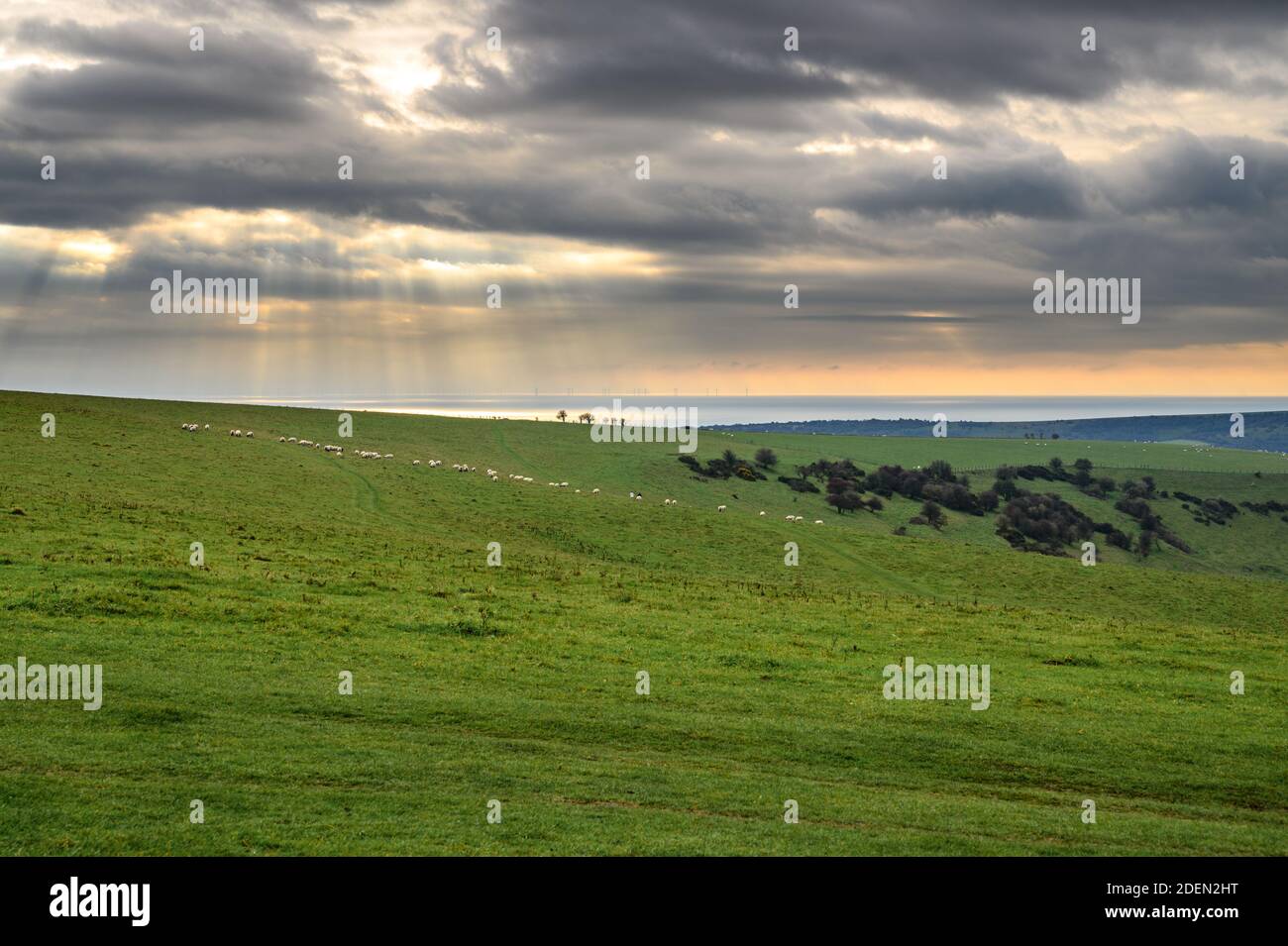 Vista sul mare sul paesaggio erboso del South Downs National Park vicino a Devil's Dyke, West Sussex, Inghilterra a fine novembre. Foto Stock