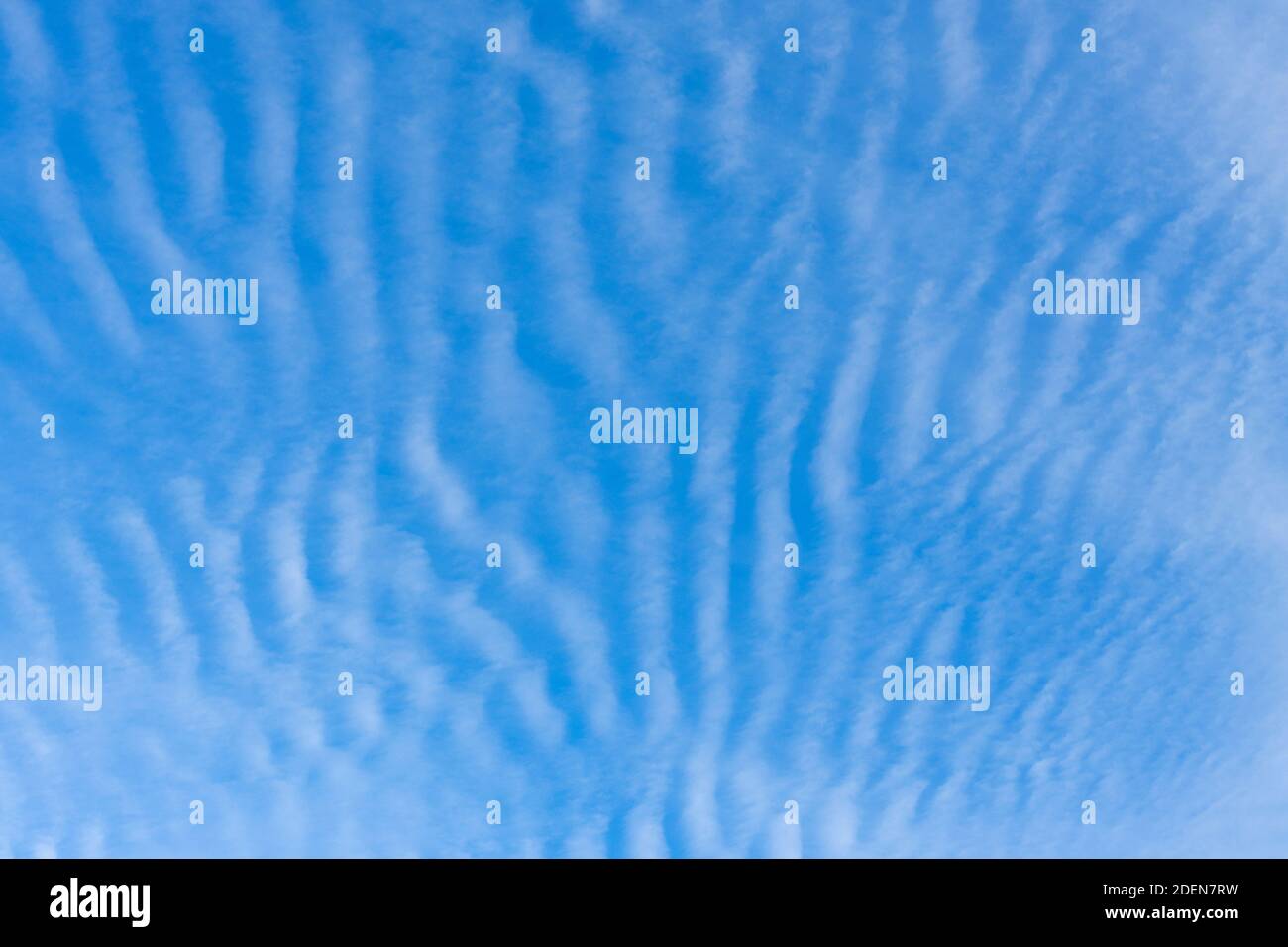 Un cielo blu sgombro con tipico bianco, ondulato, increspato modello di Cirrocumulus nuvole, indicativa di tempo variabile, sopra Surrey, sud-est en Foto Stock