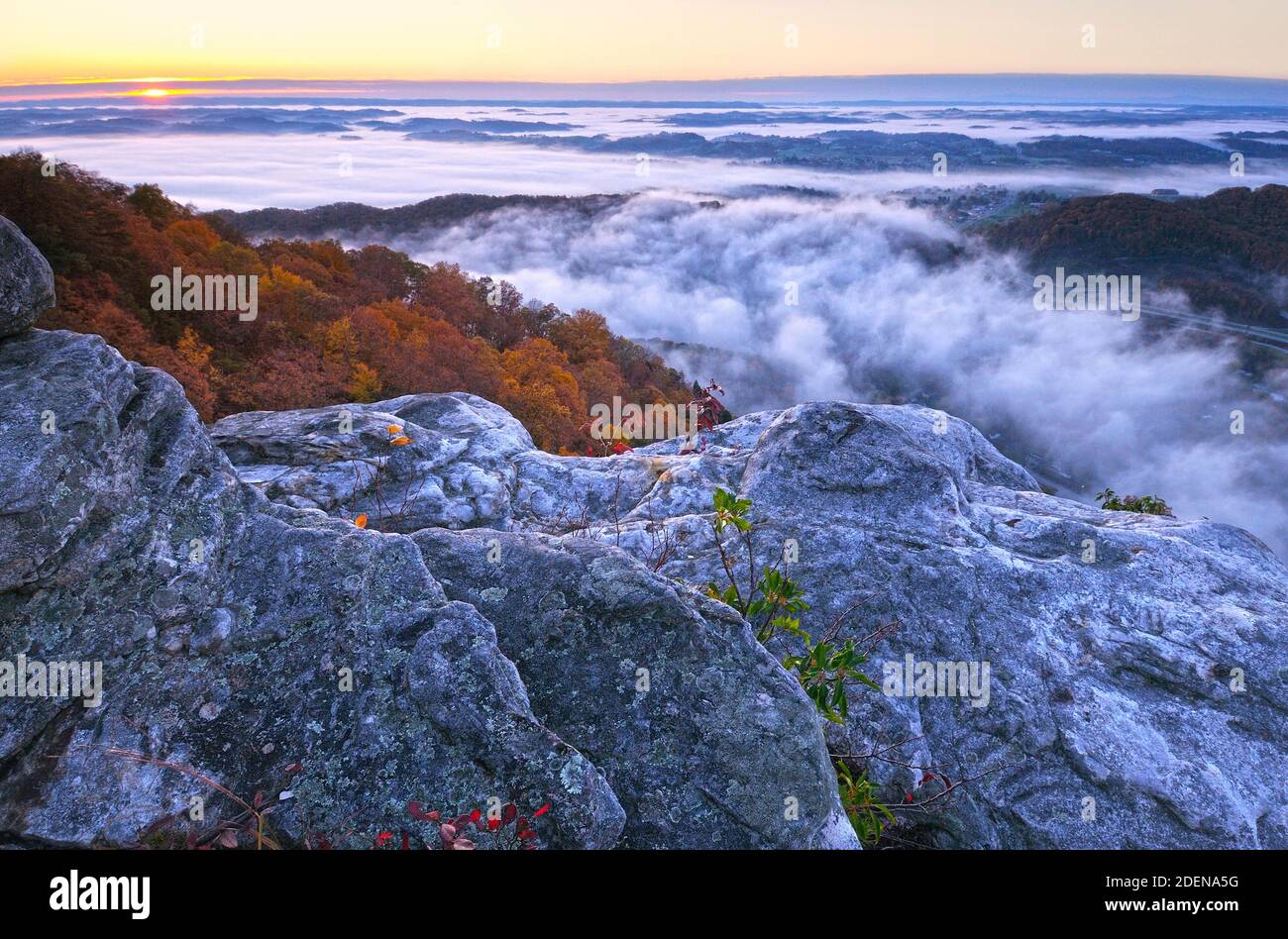 Alba a Pinnacle Overlook, Fog, Cumberland Gap National Historic Park, Cumberland Gap, Virginia, Tennessee, Stati Uniti Foto Stock