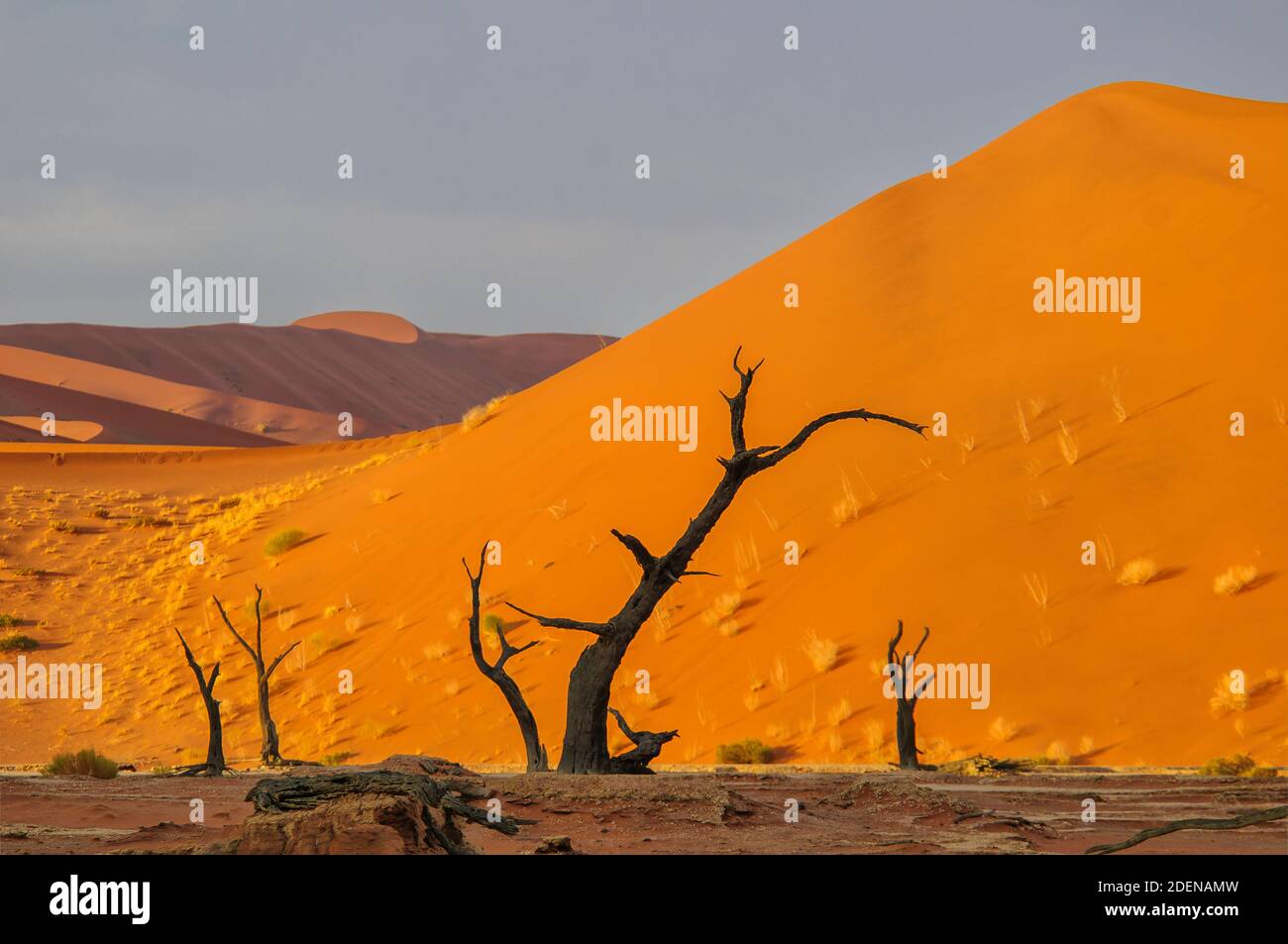 Africa, Sud, Africa, Namibia, Parco Nazionale Namib-Naukluft, Regione Hardap, Sossusvlei Foto Stock