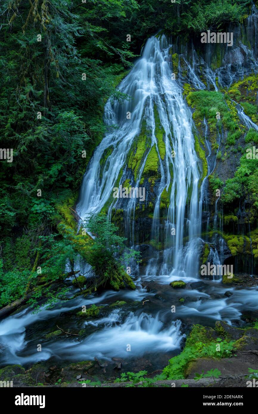 Stati Uniti, Pacifico nord-ovest, Contea di Skamania, Stato di Washington, Cascate di Panther Creek Foto Stock