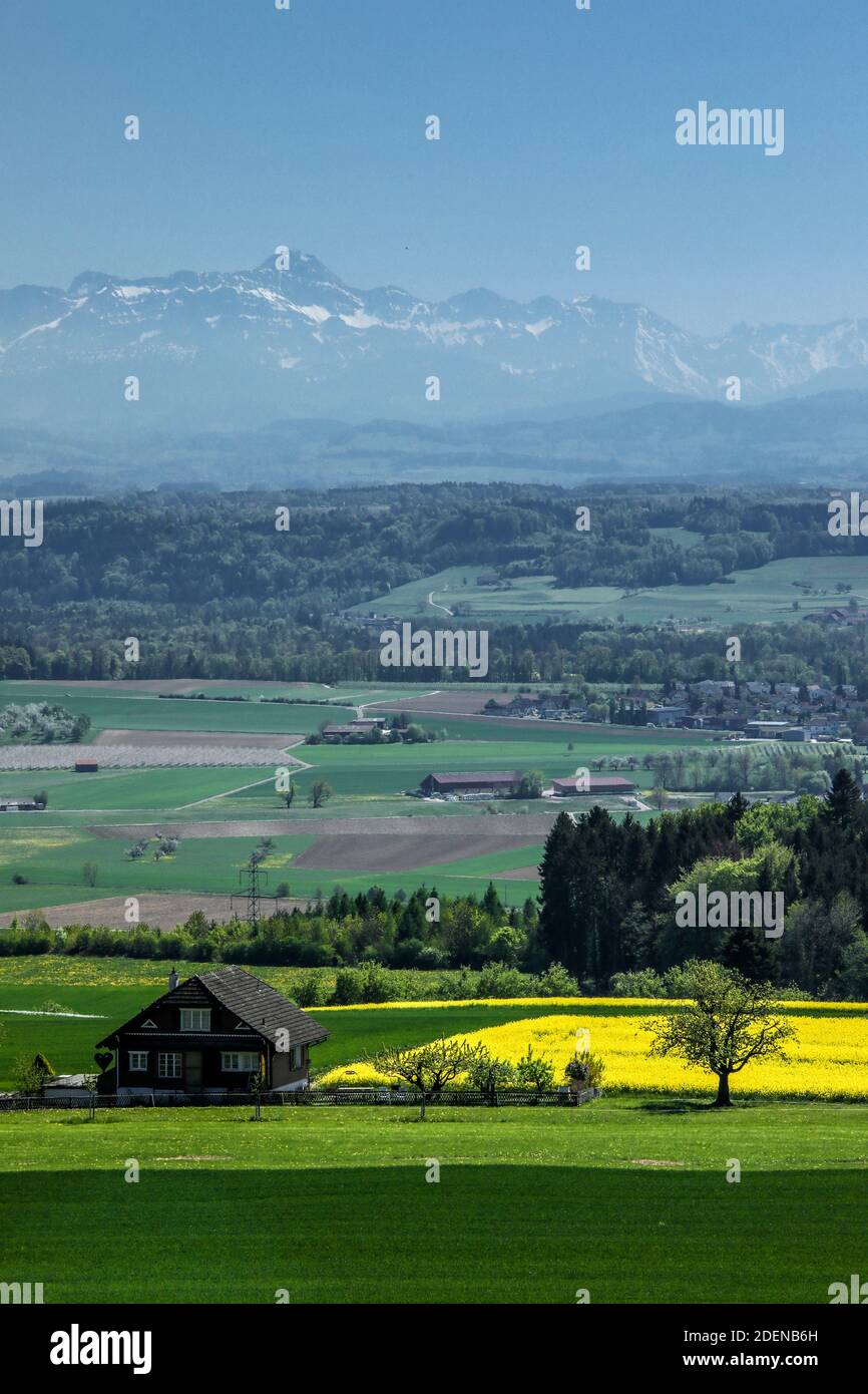 Thurgau mit Säntis Foto Stock