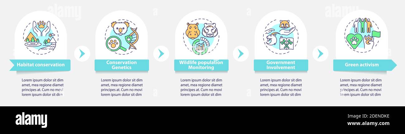 Modello infografico vettoriale per la conservazione dell'habitat Illustrazione Vettoriale