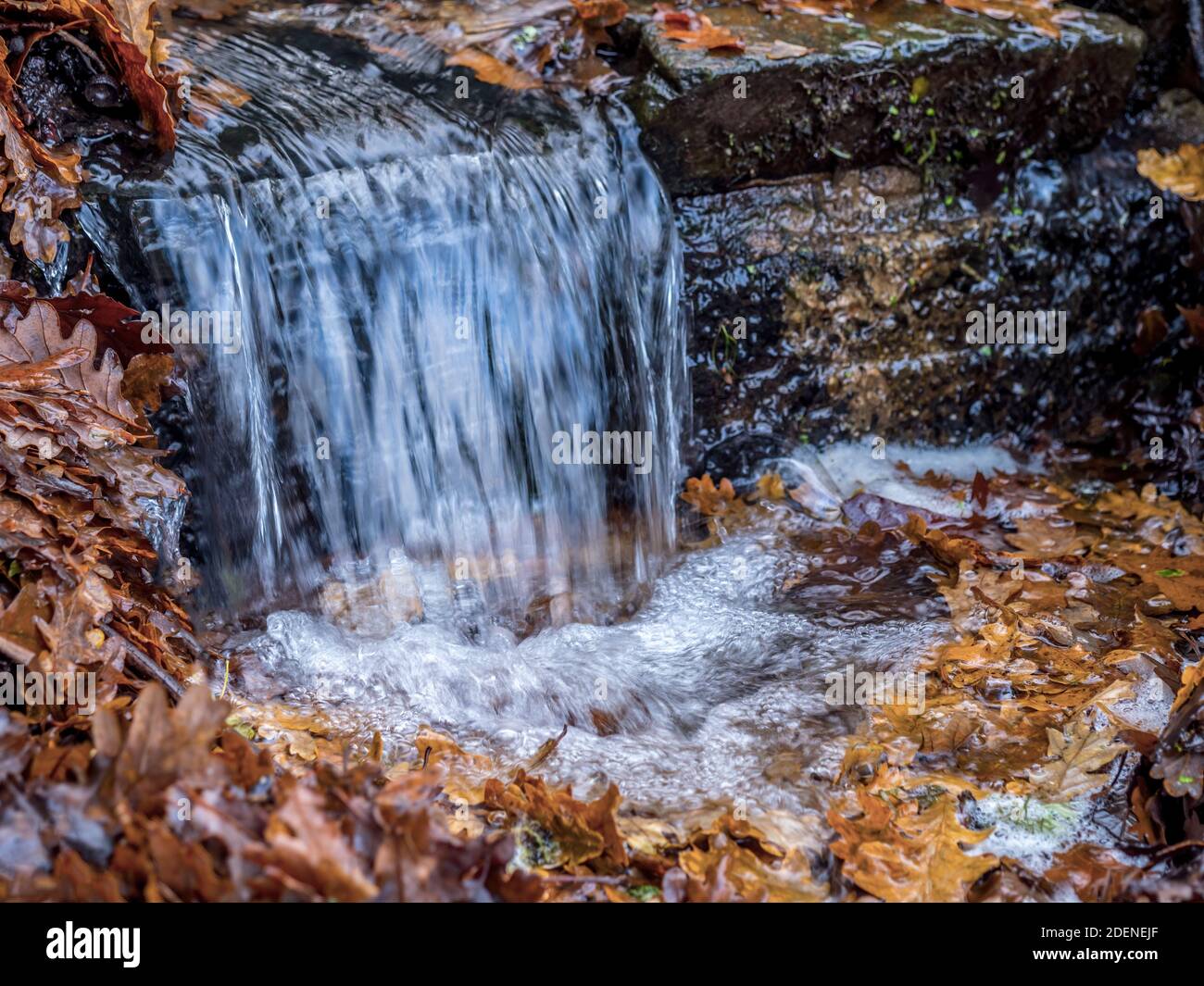 Piccola cascata autunnale, acqua che scende a scalini con foglie. Foto Stock