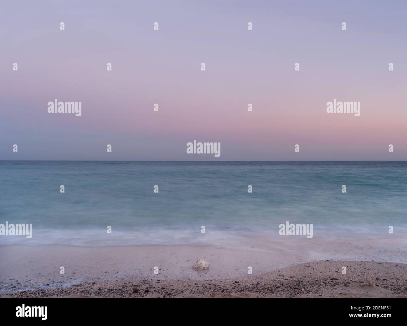 alba con conchiglia sulla spiaggia un'arte simbolica della natura design e decorazione naturale a lunga esposizione Foto Stock