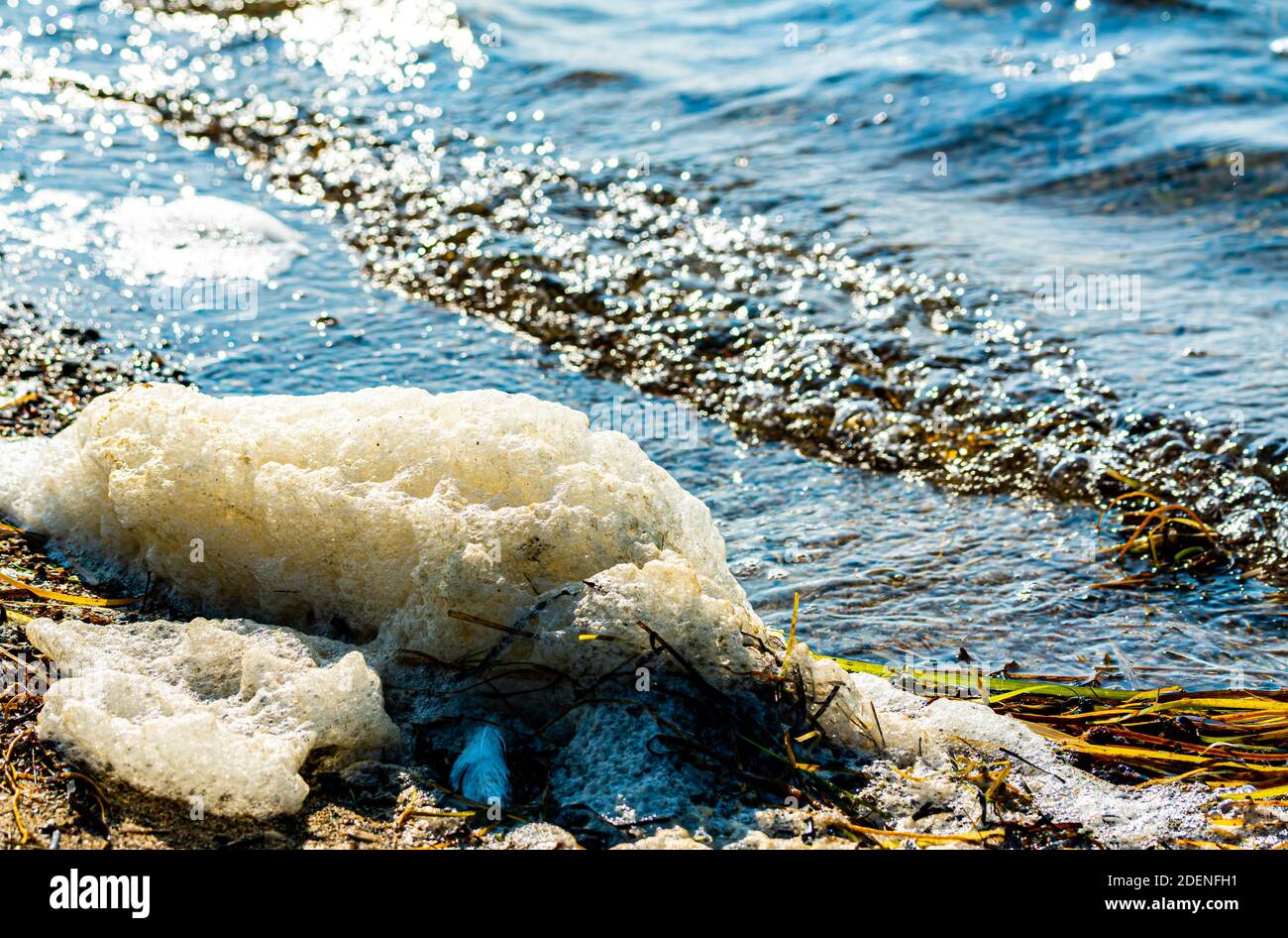 Schiuma di mare che si forma sulla spiaggia, sostanza forte e appiccicosa di materia organica in acqua di mare. . Foto di alta qualità Foto Stock