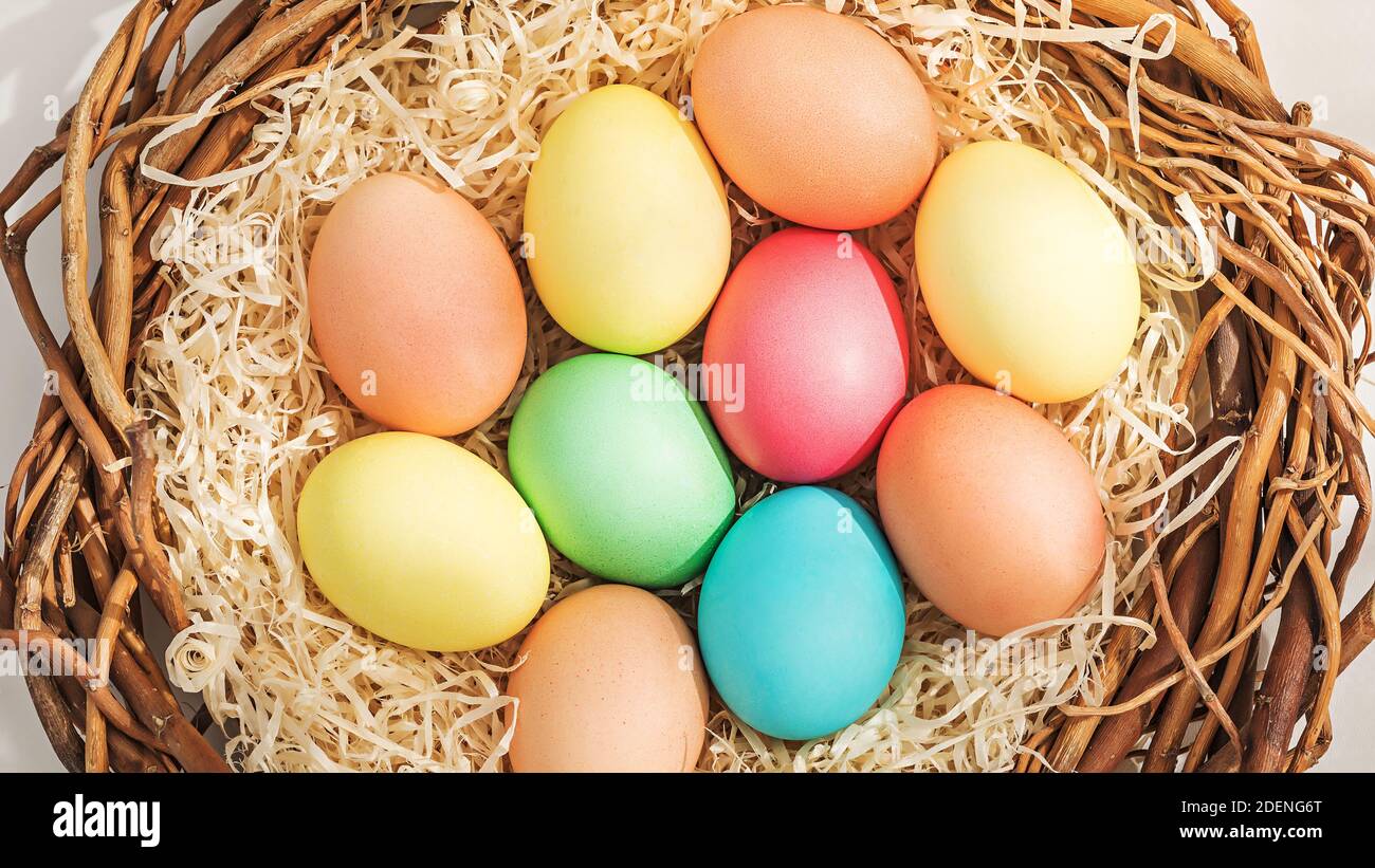 Composizione pasquale rurale con uova colorate nel nido Foto Stock