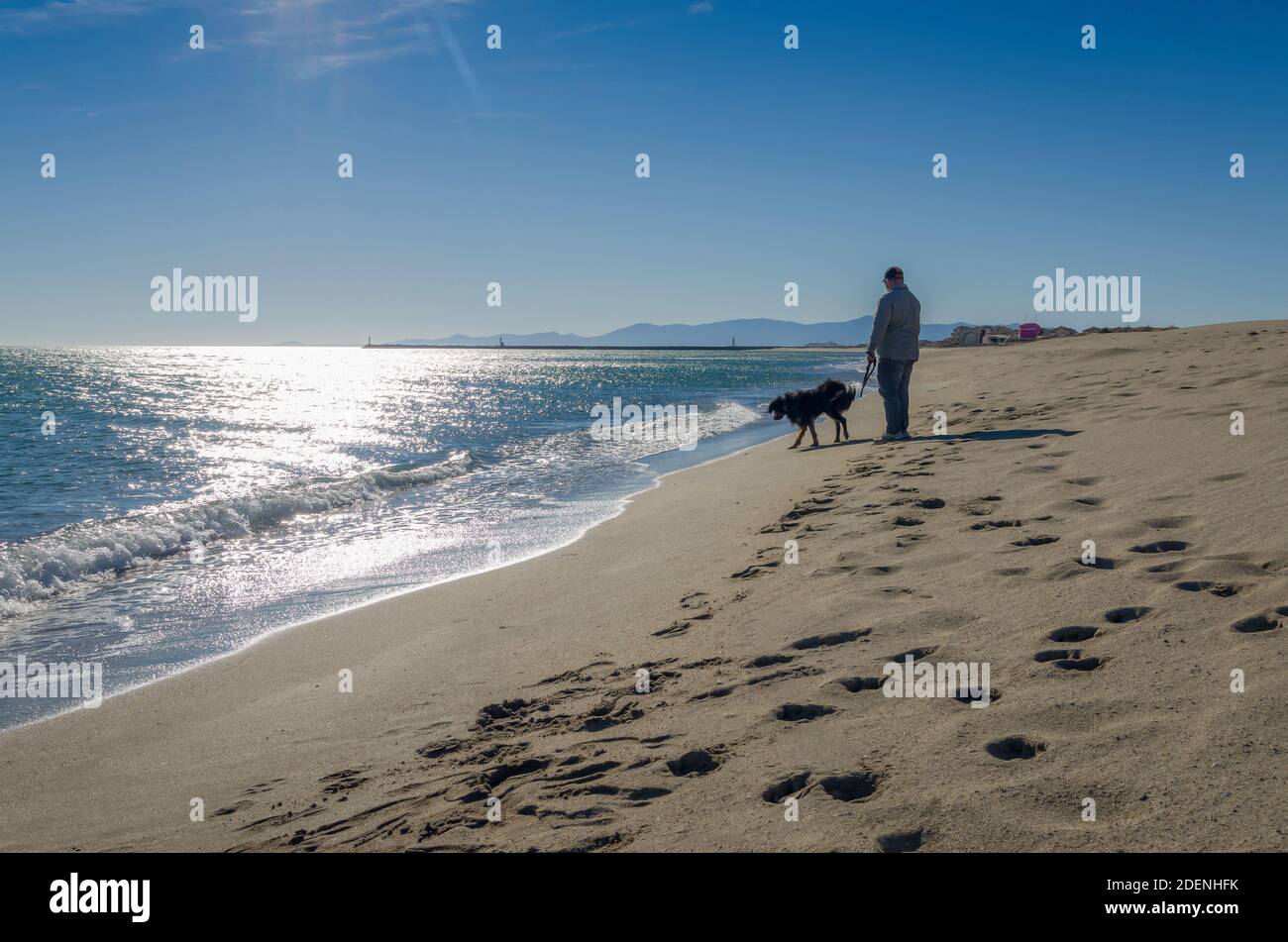Concetto di amicizia, l'uomo e il suo cane camminando sulla spiaggia. Foto Stock