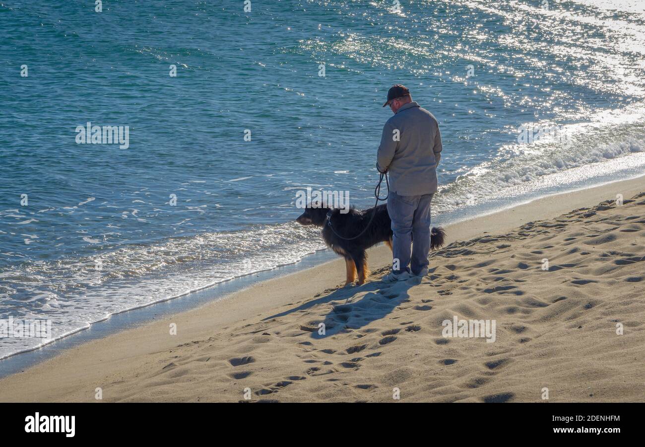 Concetto di amicizia, l'uomo e il suo cane camminando sulla spiaggia. Foto Stock