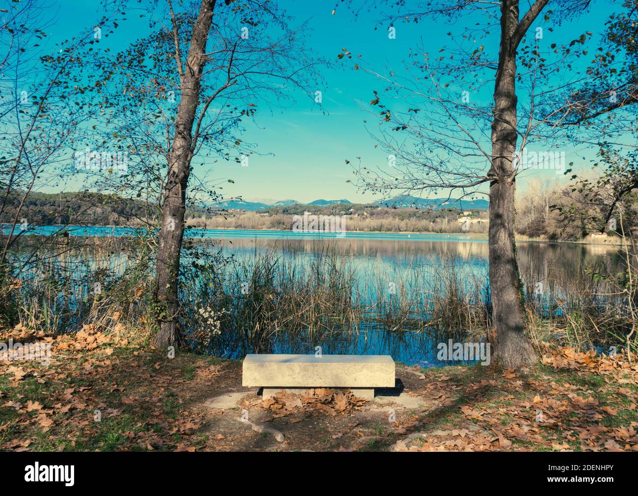 vista su un lago con alberi, canne e panca in autunno. Lago di Banyoles, Girona, Spagna. Foto Stock