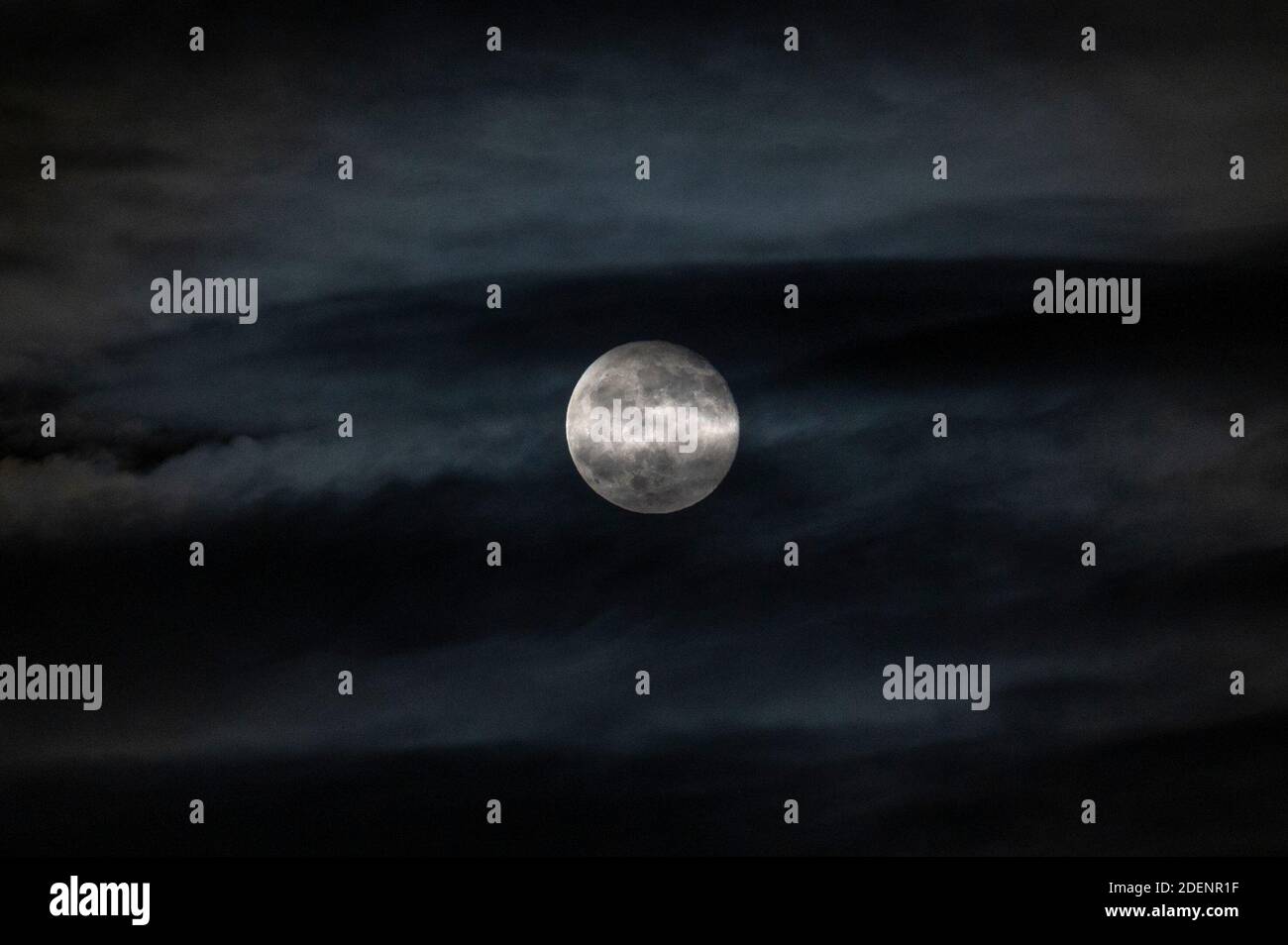 Lauder, Scottish Borders, Scotland , UK 1 Dicembre 2020 Lauder, Scottish Borders, Scotland, UK Scotland Cold Weather il Full Beaver Moon , splende brillantemente attraverso le nuvole lugubri in una notte fresca il 1 Dicembre 2020. Photo credit - Phil Wilkinson / Alamy Live News Photo Phil Wilkinson / Alamy Live News Foto Stock