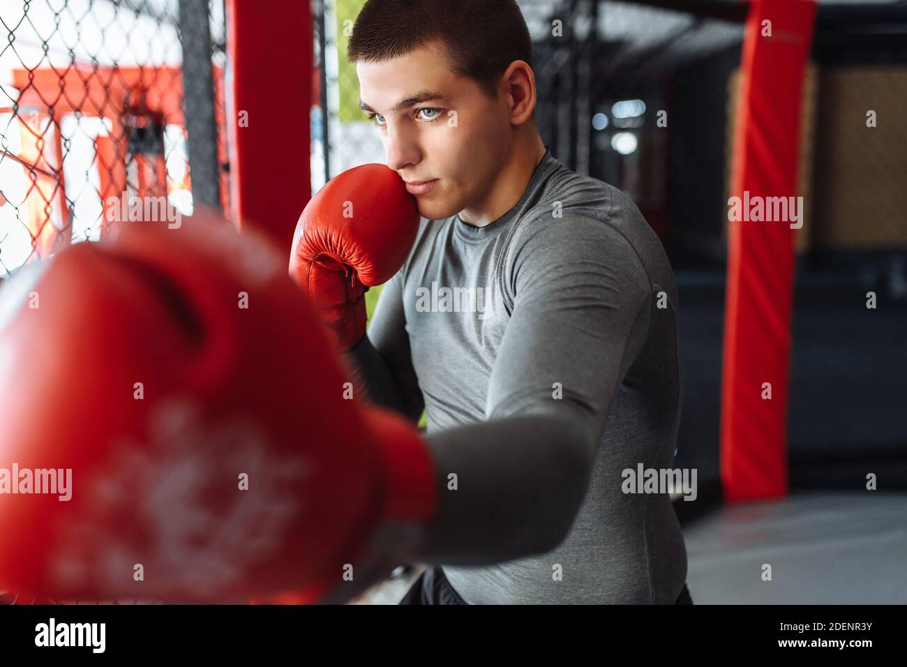 Pugile maschile impegnato in allenamento in palestra, in una gabbia per una lotta senza regole Foto Stock