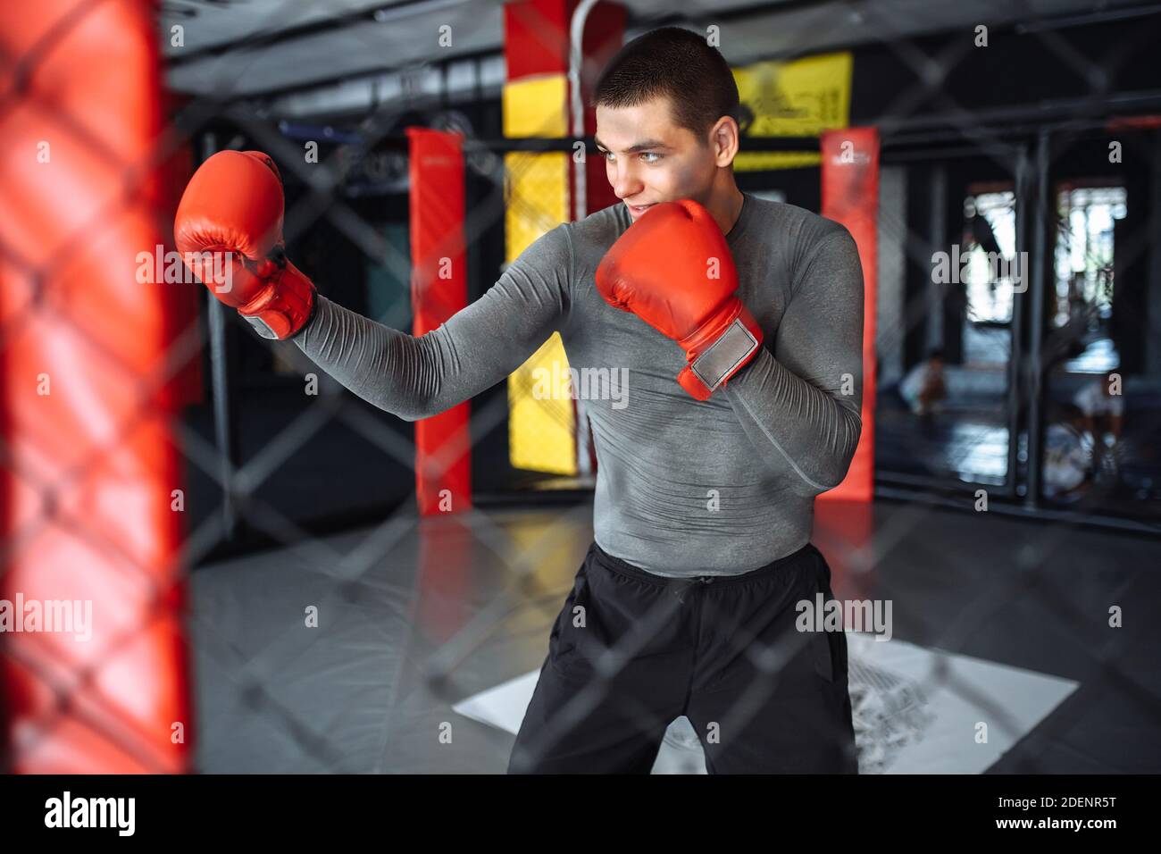 Pugile maschile impegnato in allenamento in palestra, in una gabbia per una lotta senza regole Foto Stock