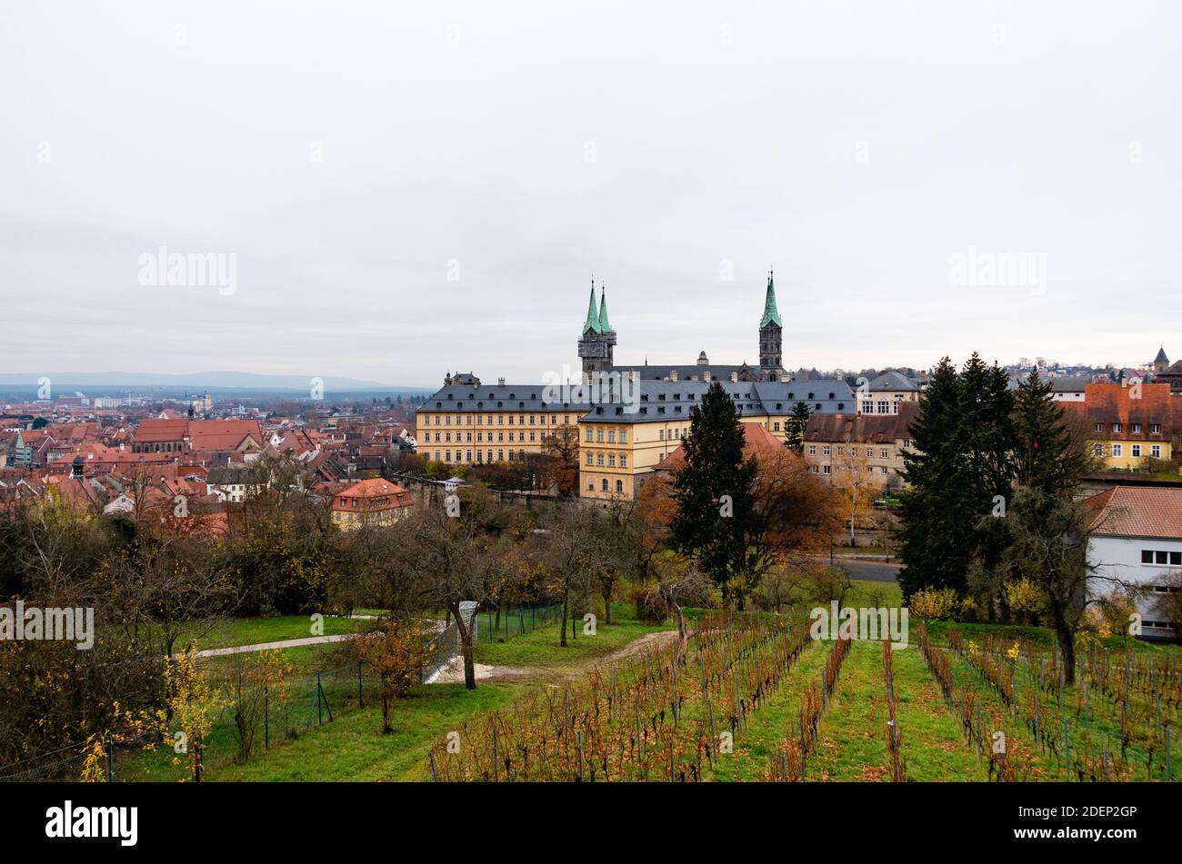 Bamberga, Germania. Vista da Michaelsberg alla famosa cattedrale di bamberga con il vigneto in primo piano Foto Stock