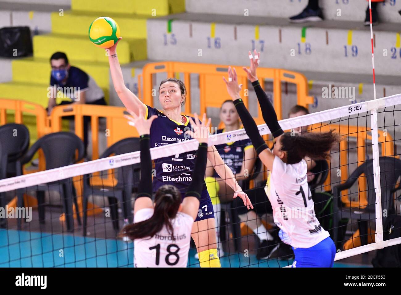 Palazzetto dello Sport, Scandicci, Firenze, Italia, 01 Dic 2020, Jelena Blagojevic (Developres SkyRes Rzeszow) durante SSC Palmberg Schwerin vs Developres SkyRes Rzeszow, CEV Champions League Women volley match - Foto Lisa Guglielmi / LM Foto Stock