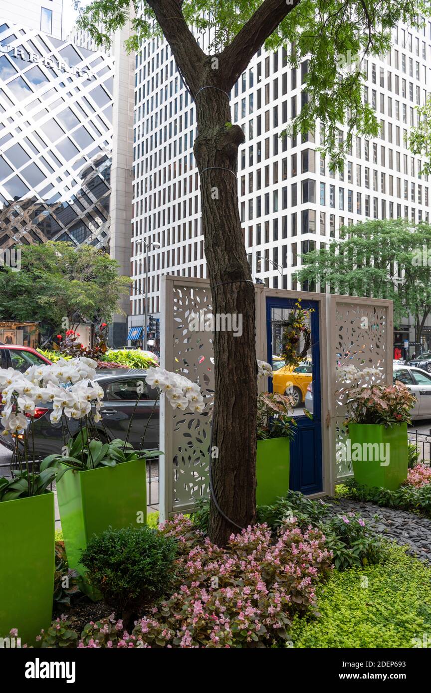Arte urbana di strada e giardino Foto Stock