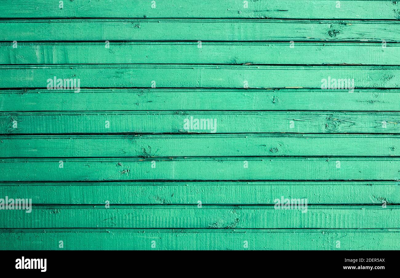 Sfondo legno colore verde chiaro, struttura in legno, parete vecchia dipinta Foto Stock