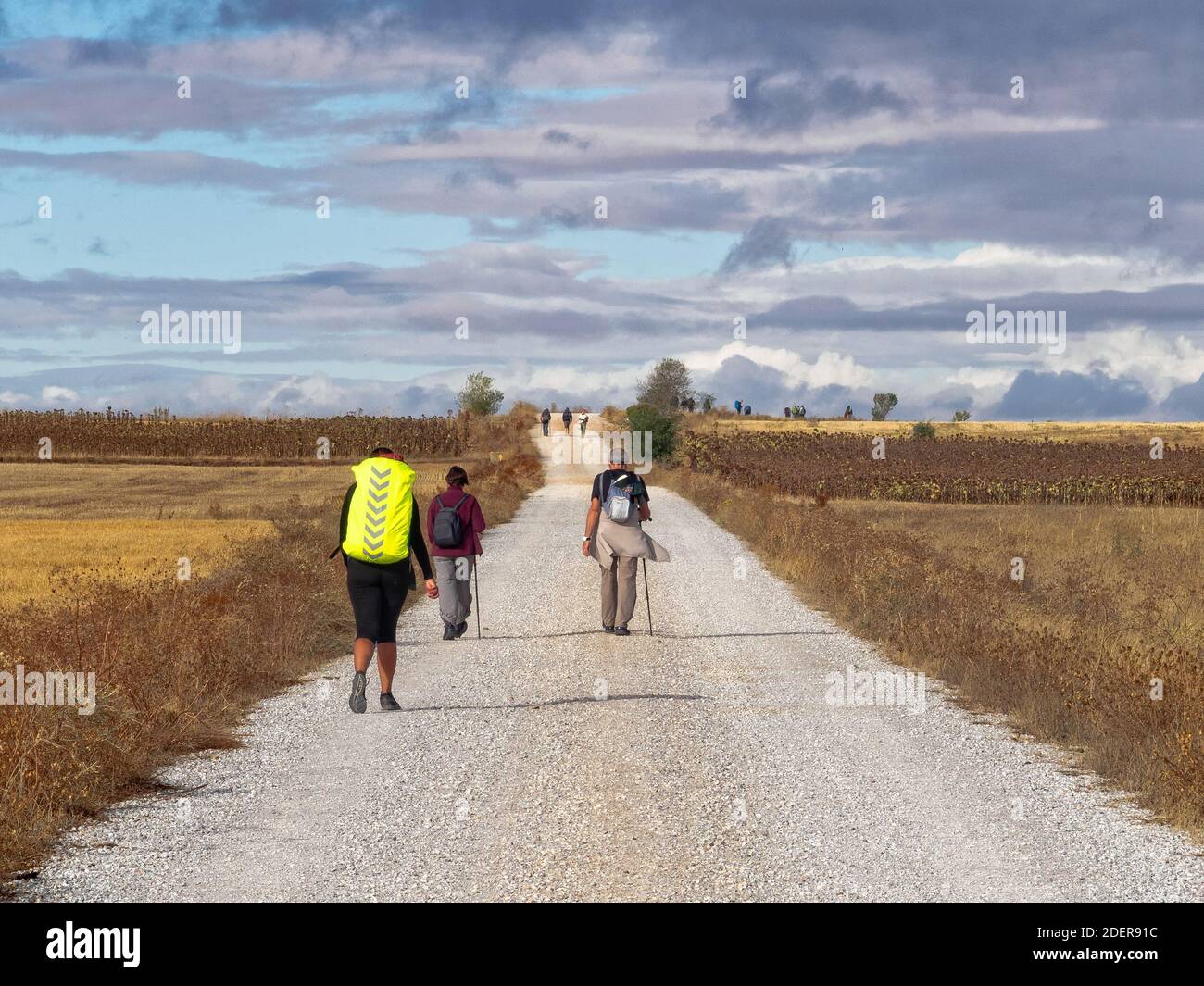 I pellegrini camminano sulla vecchia strada romana conosciuta come Via Aquitania - Calzada Romana, Castiglia e Leon, Spagna Foto Stock