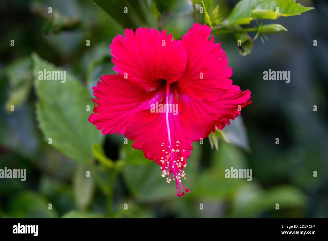Tutte le foto originali Foto Stock