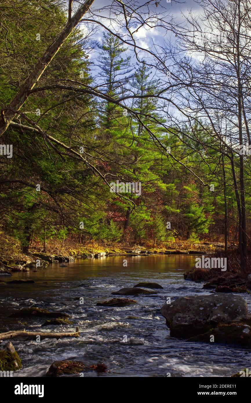 Il fiume Brodhead, un incontaminato ruscello di acqua fredda in Pennsylvania Pocono Mountains Foto Stock